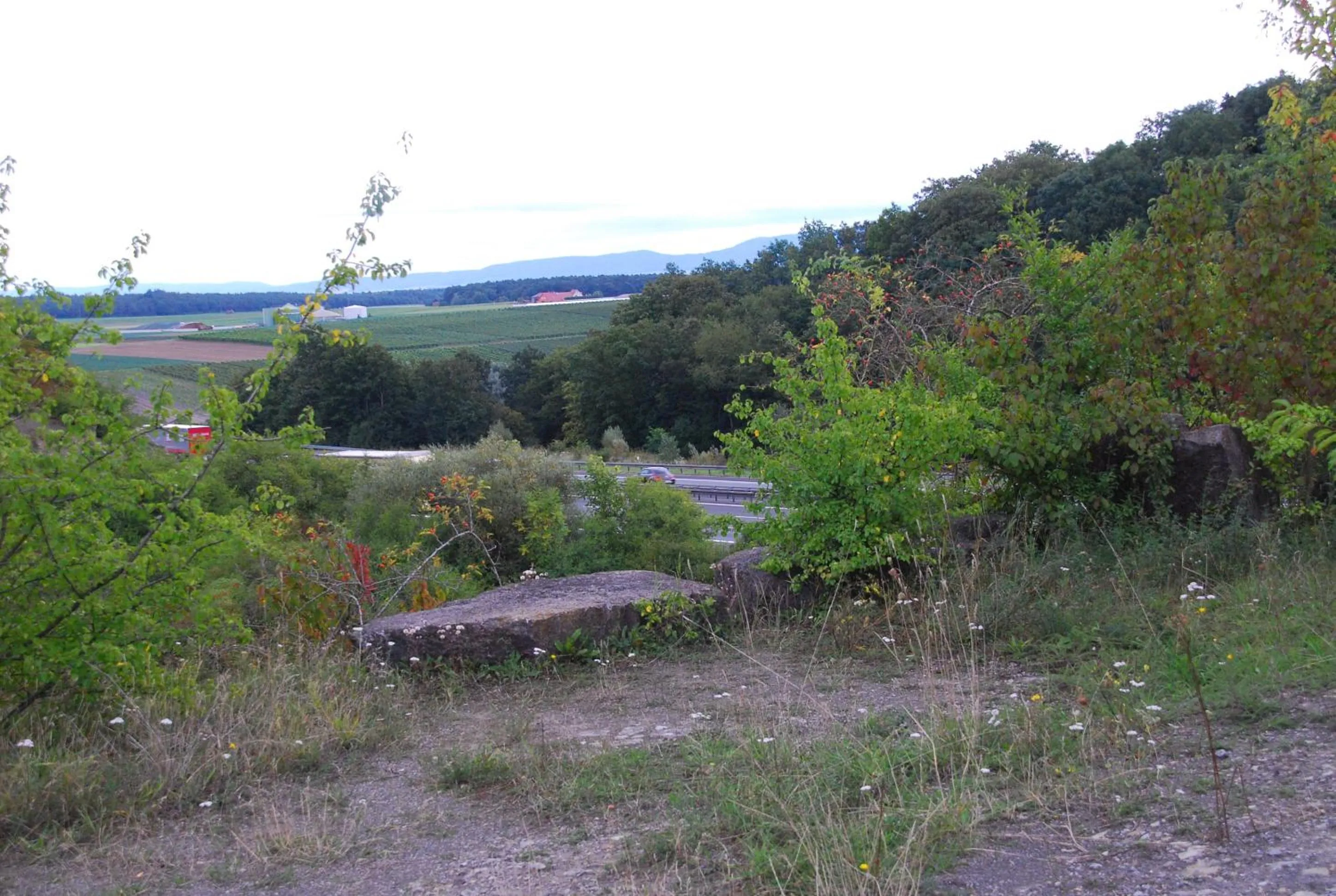 Area and facilities in AKZENT Hotel Am Bach