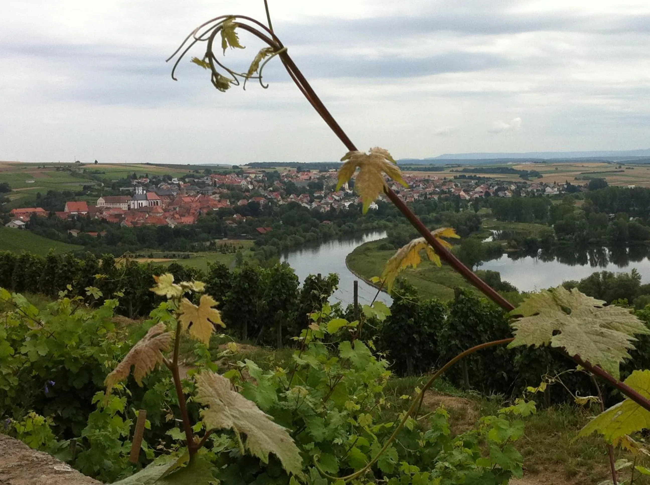 Hiking in AKZENT Hotel Am Bach