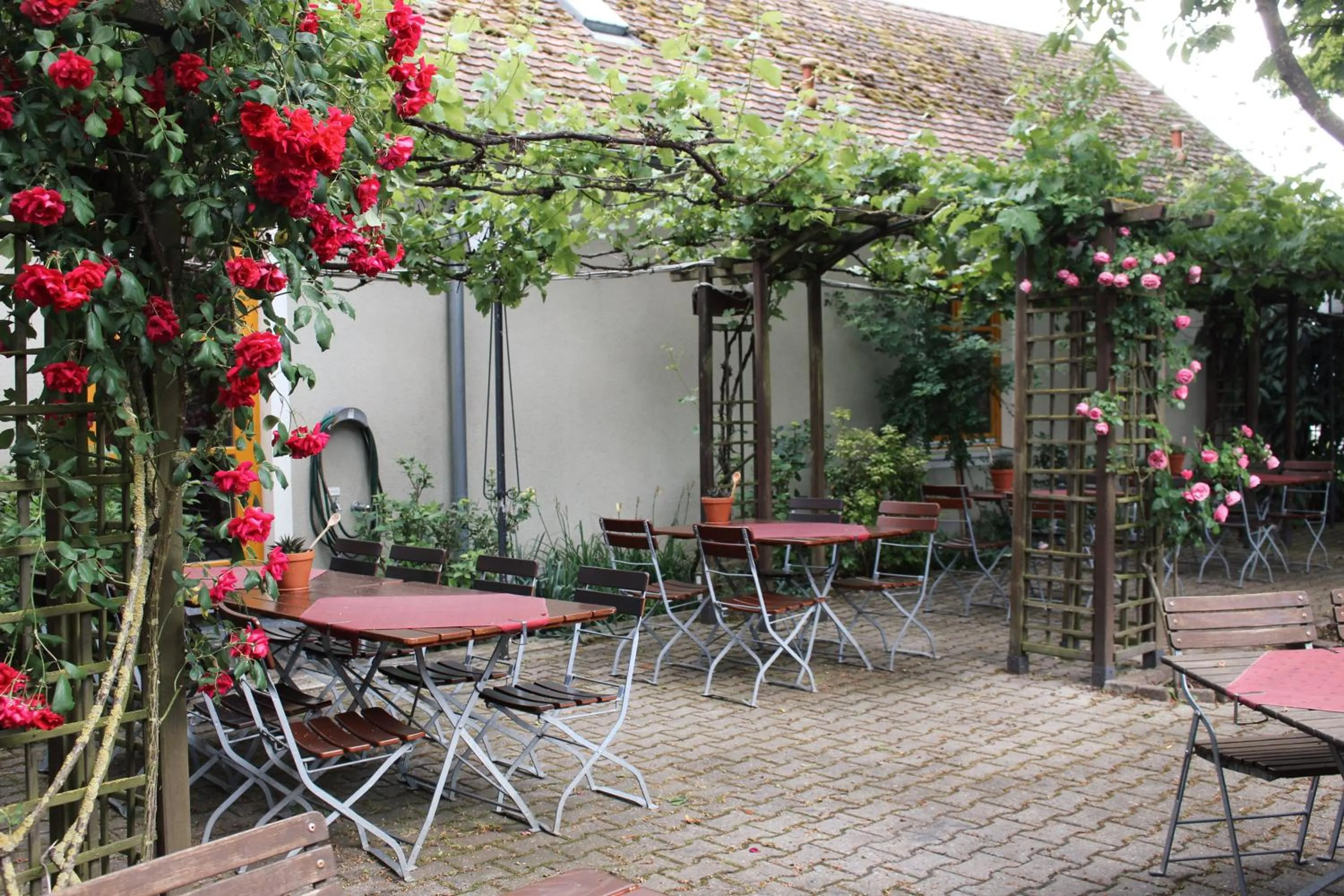 Restaurant/places to eat in AKZENT Hotel Franziskaner