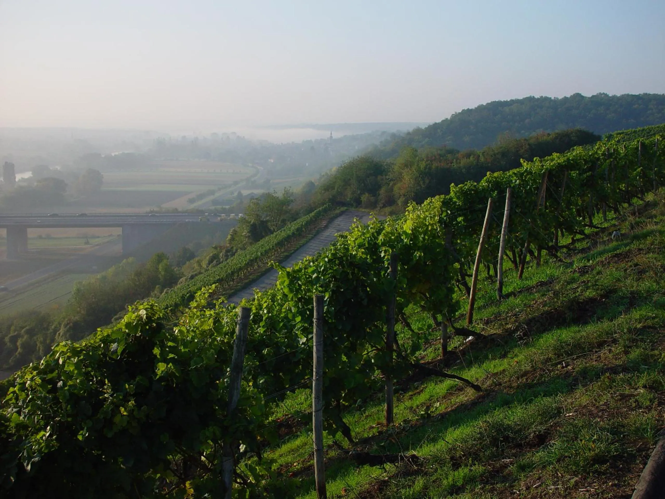 Natural landscape in AKZENT Hotel Franziskaner