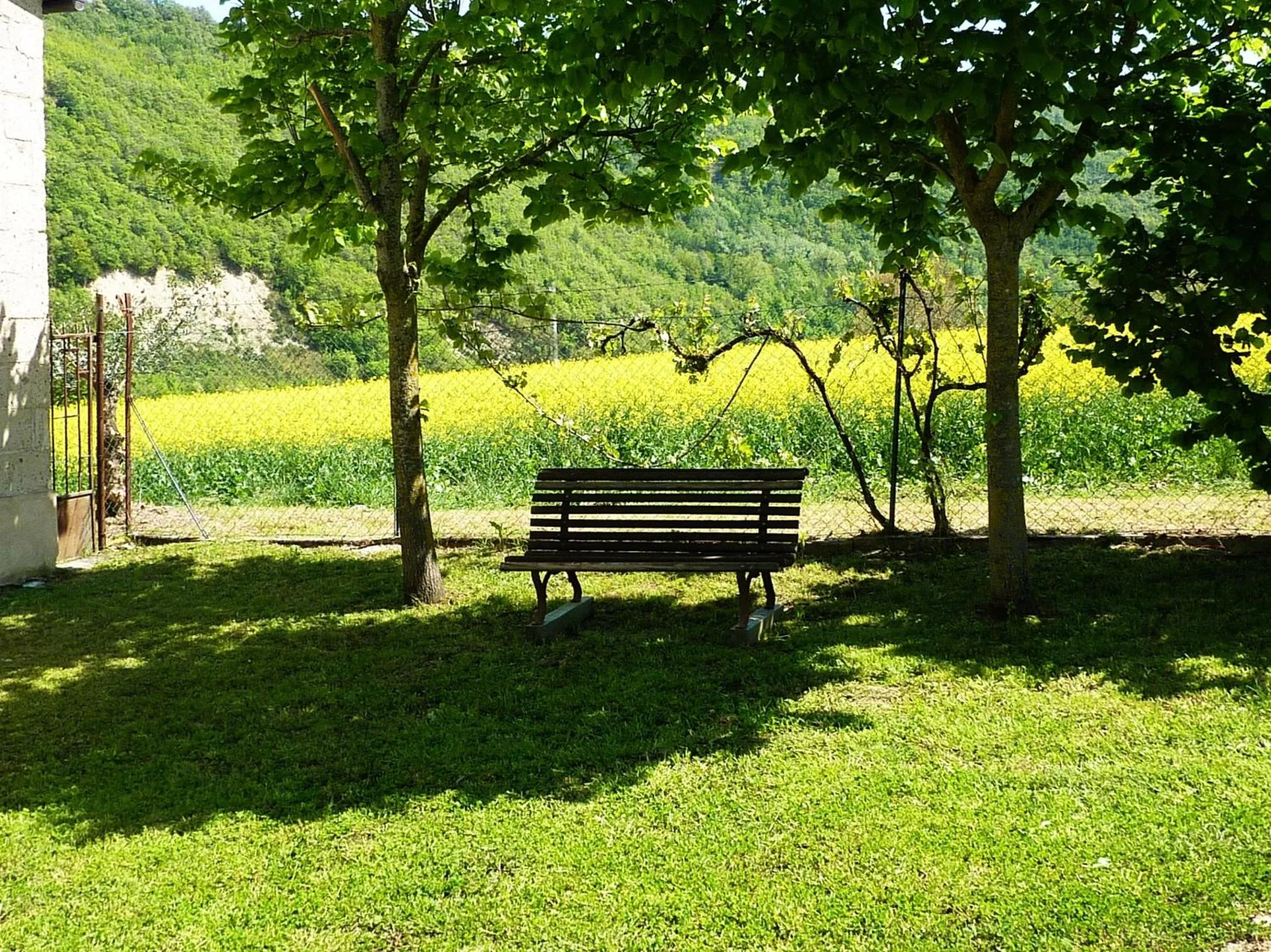 Garden in Tuttaterra