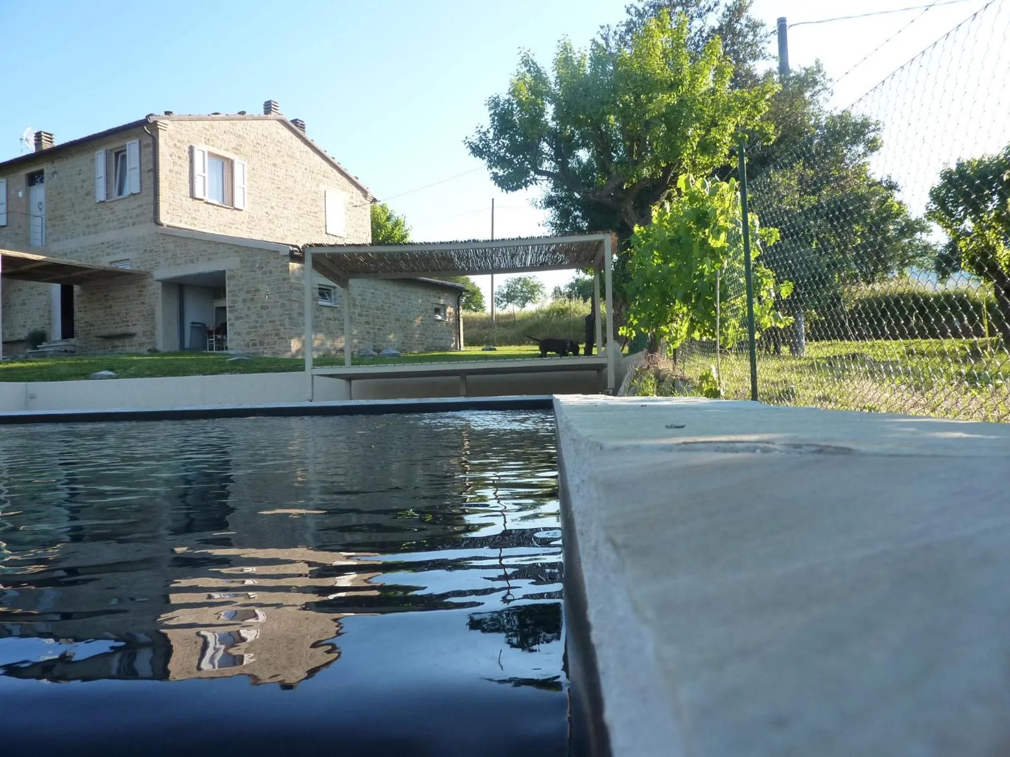 Pool view in Tuttaterra