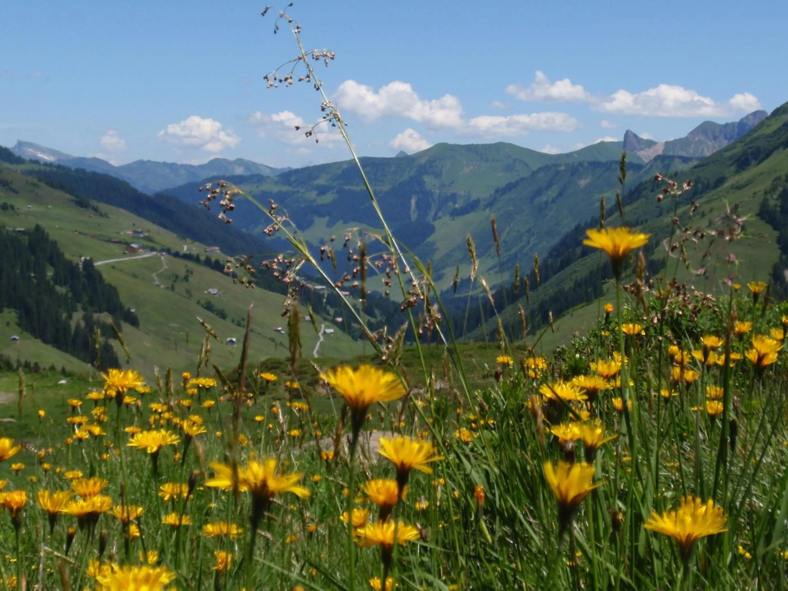 Natural landscape in Boutiquehotel Hohes Licht