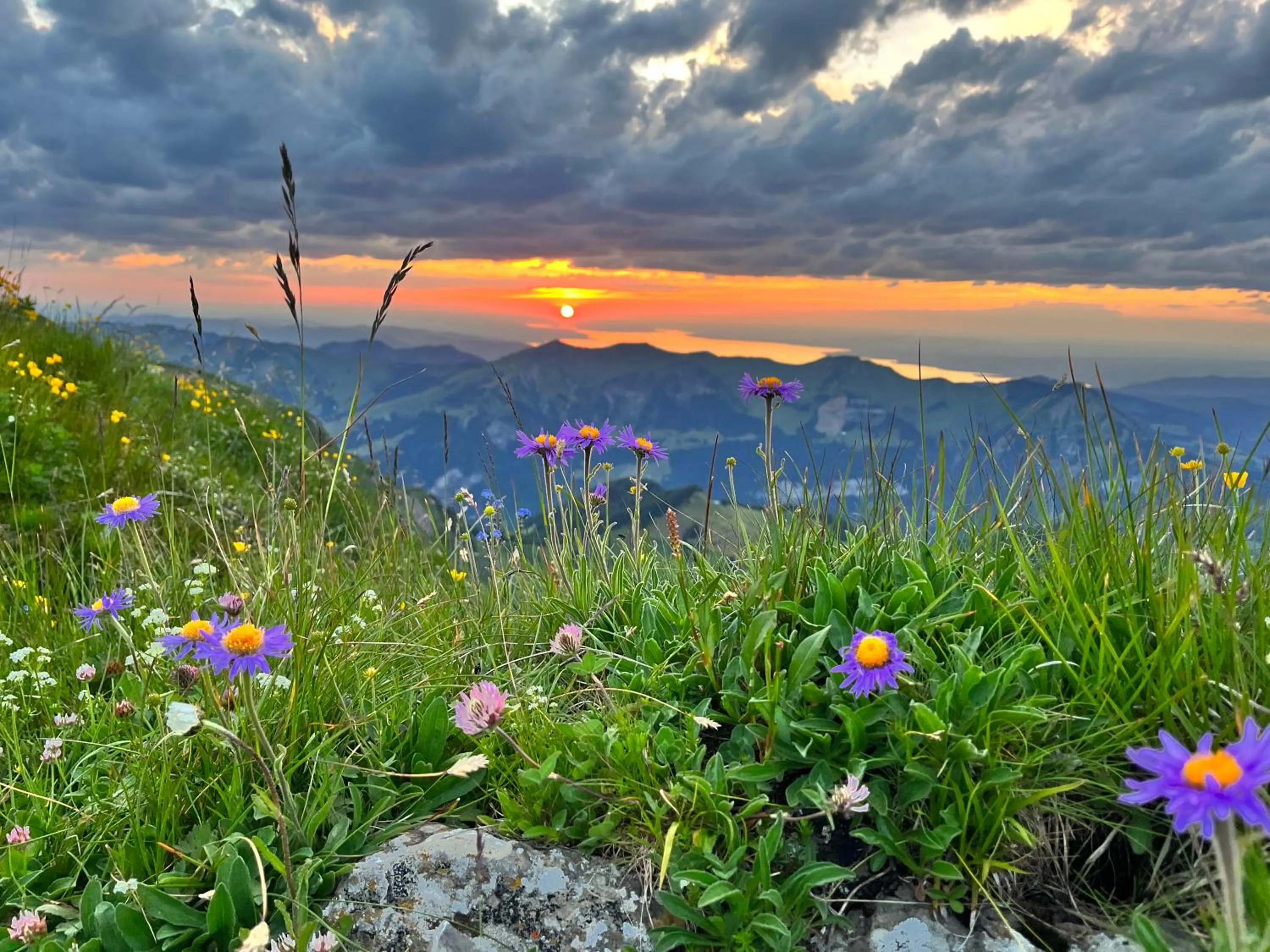 Area and facilities in Boutiquehotel Hohes Licht
