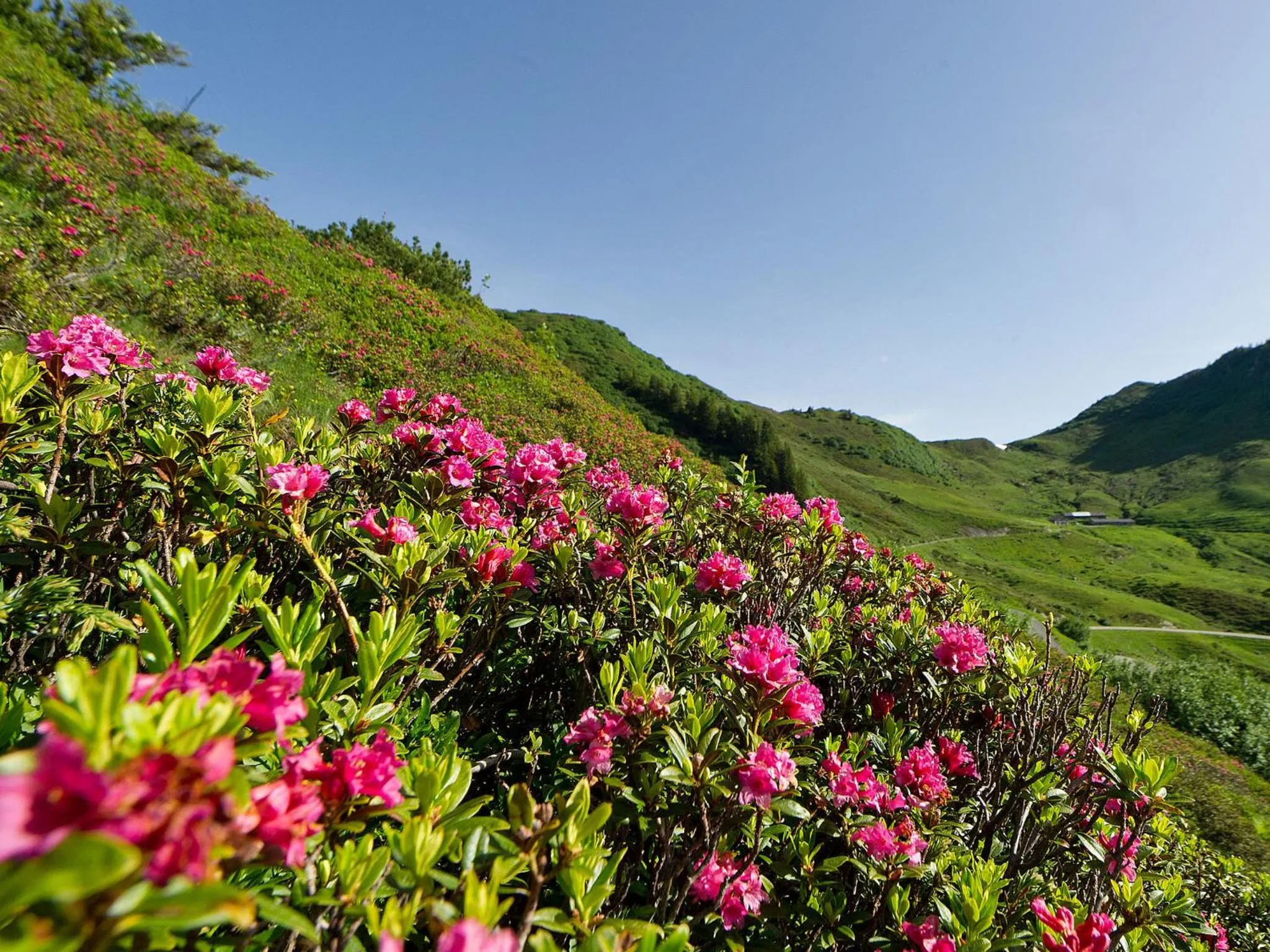 Spring in Boutiquehotel Hohes Licht