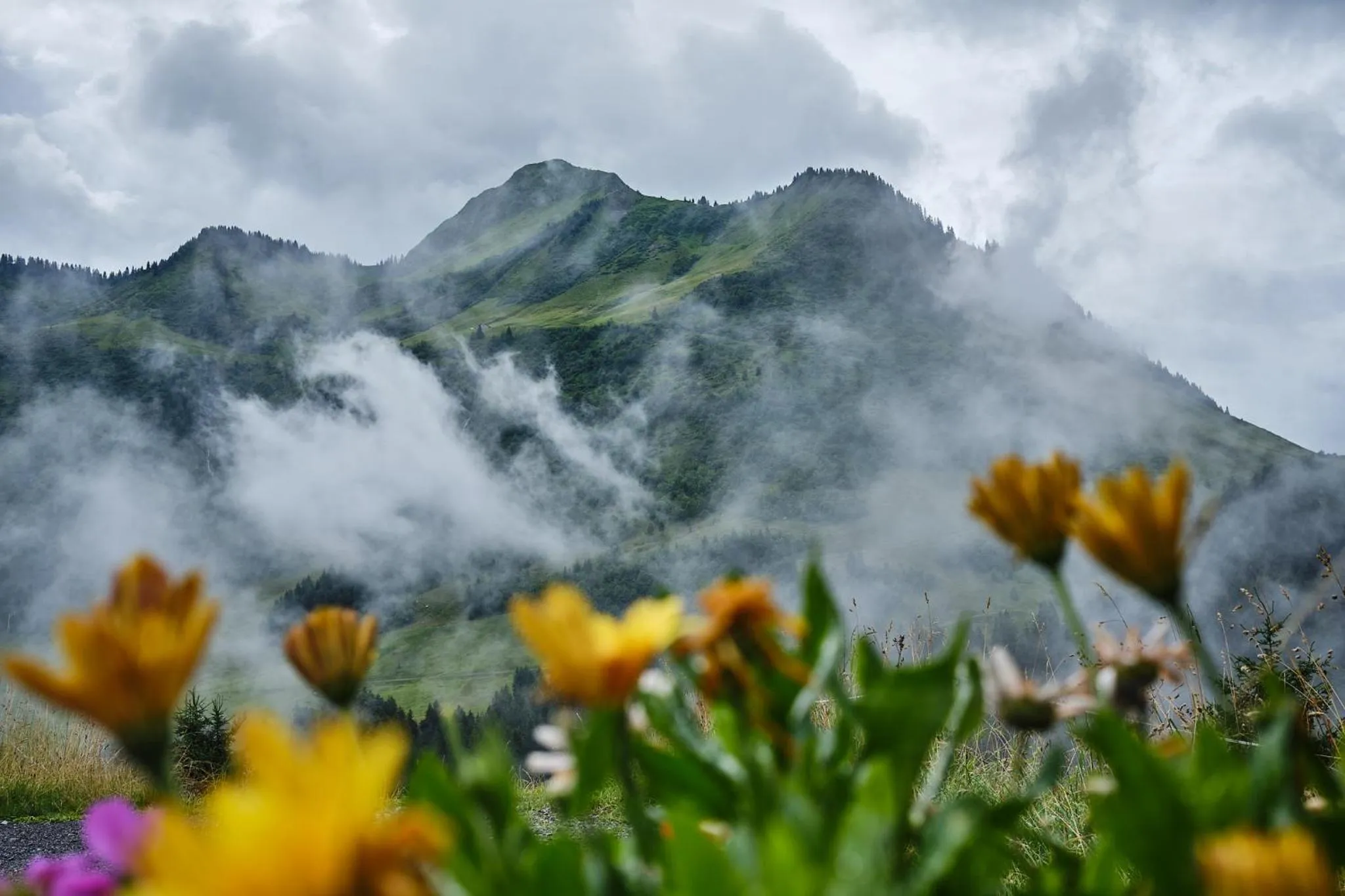 View (from property/room) in Boutiquehotel Hohes Licht