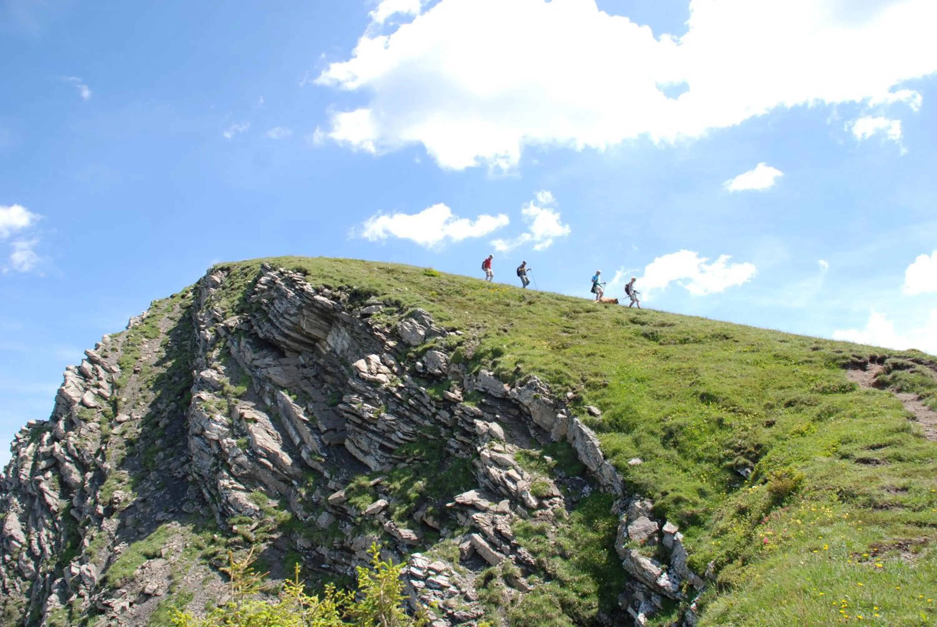 Summer in Boutiquehotel Hohes Licht