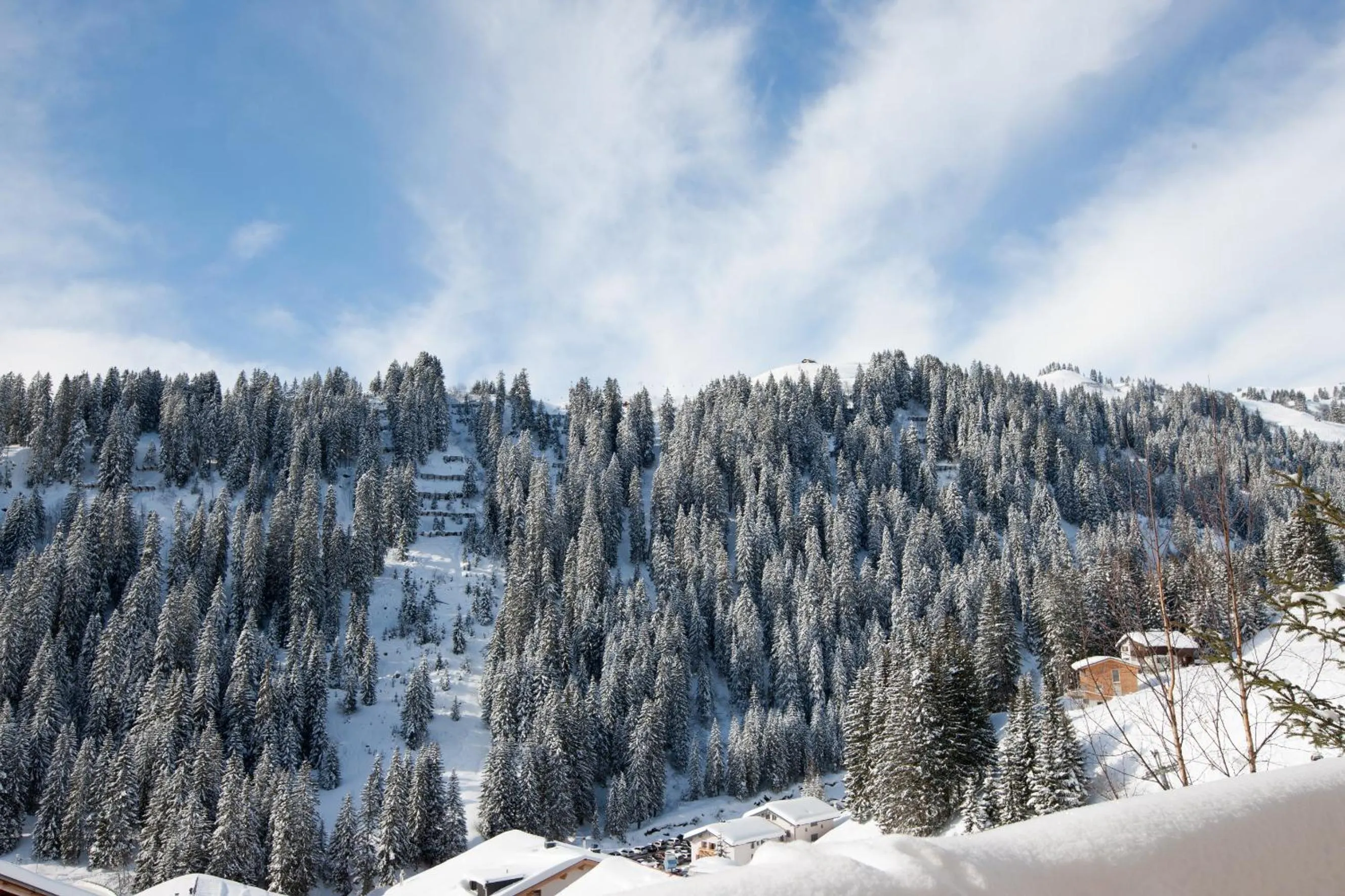 Natural landscape in Boutiquehotel Hohes Licht