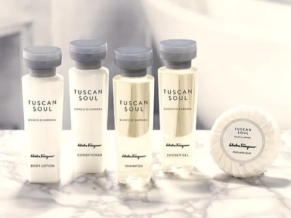 Four Seasons Yuzawa Quattro