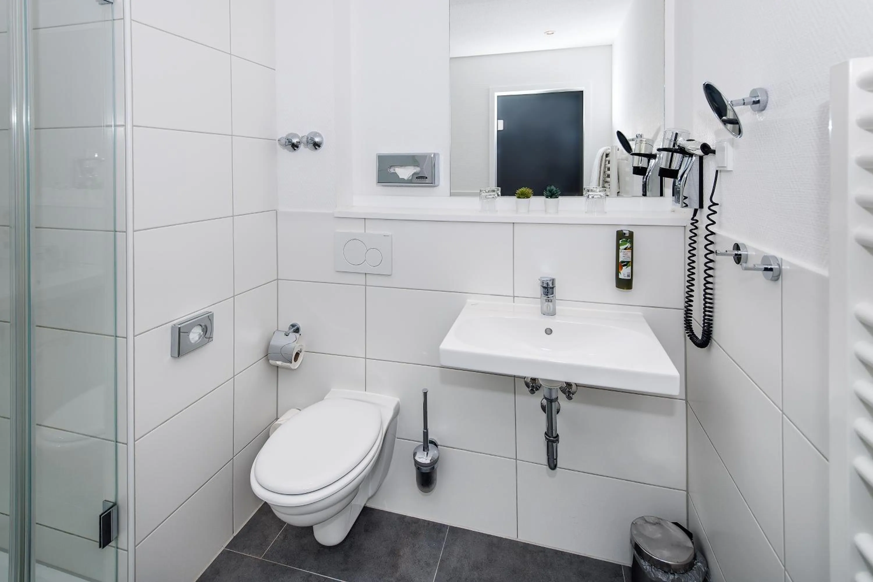 Shower in Hotel Rheingarten