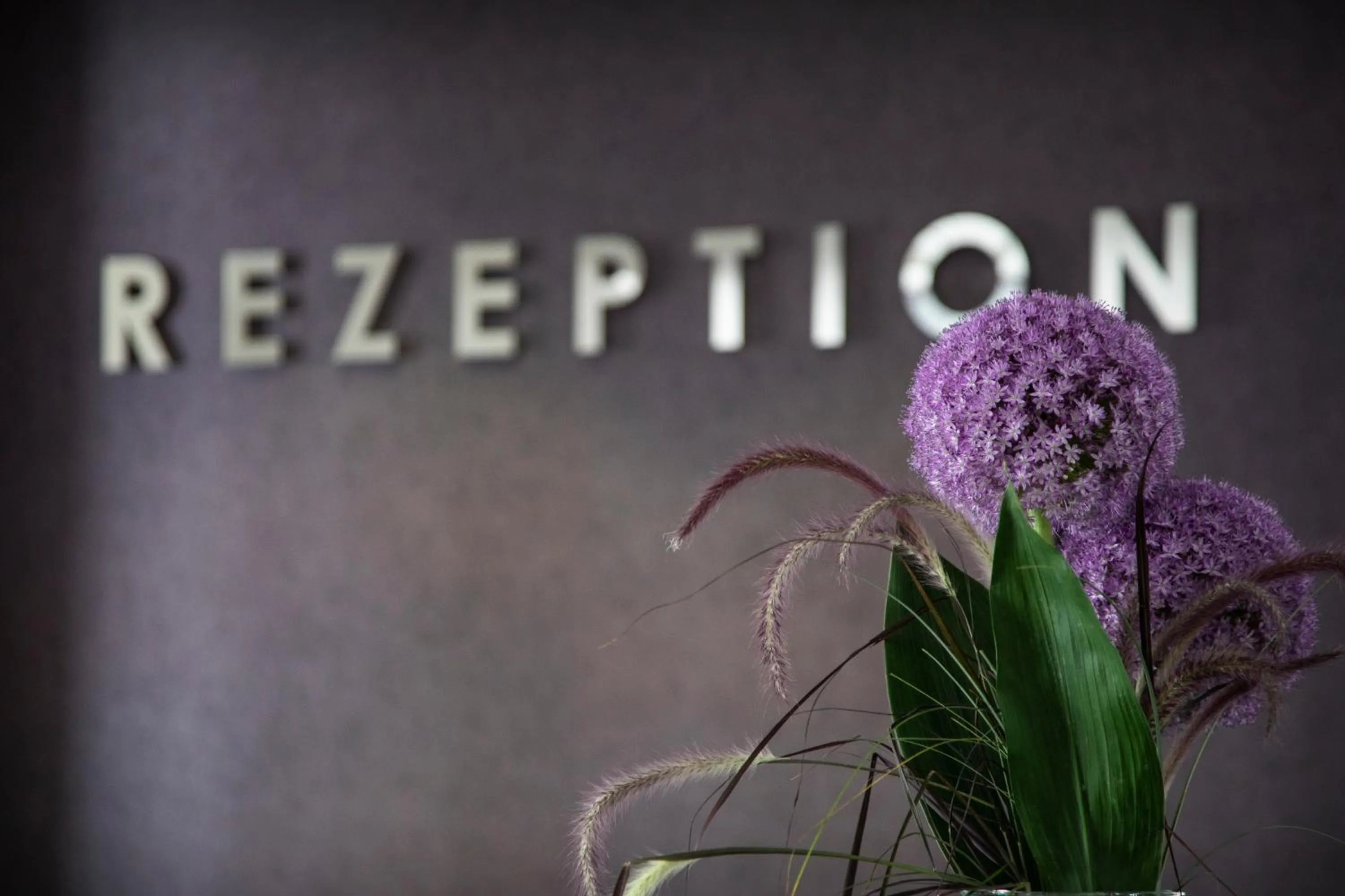 Lobby or reception in Hotel Rheingarten