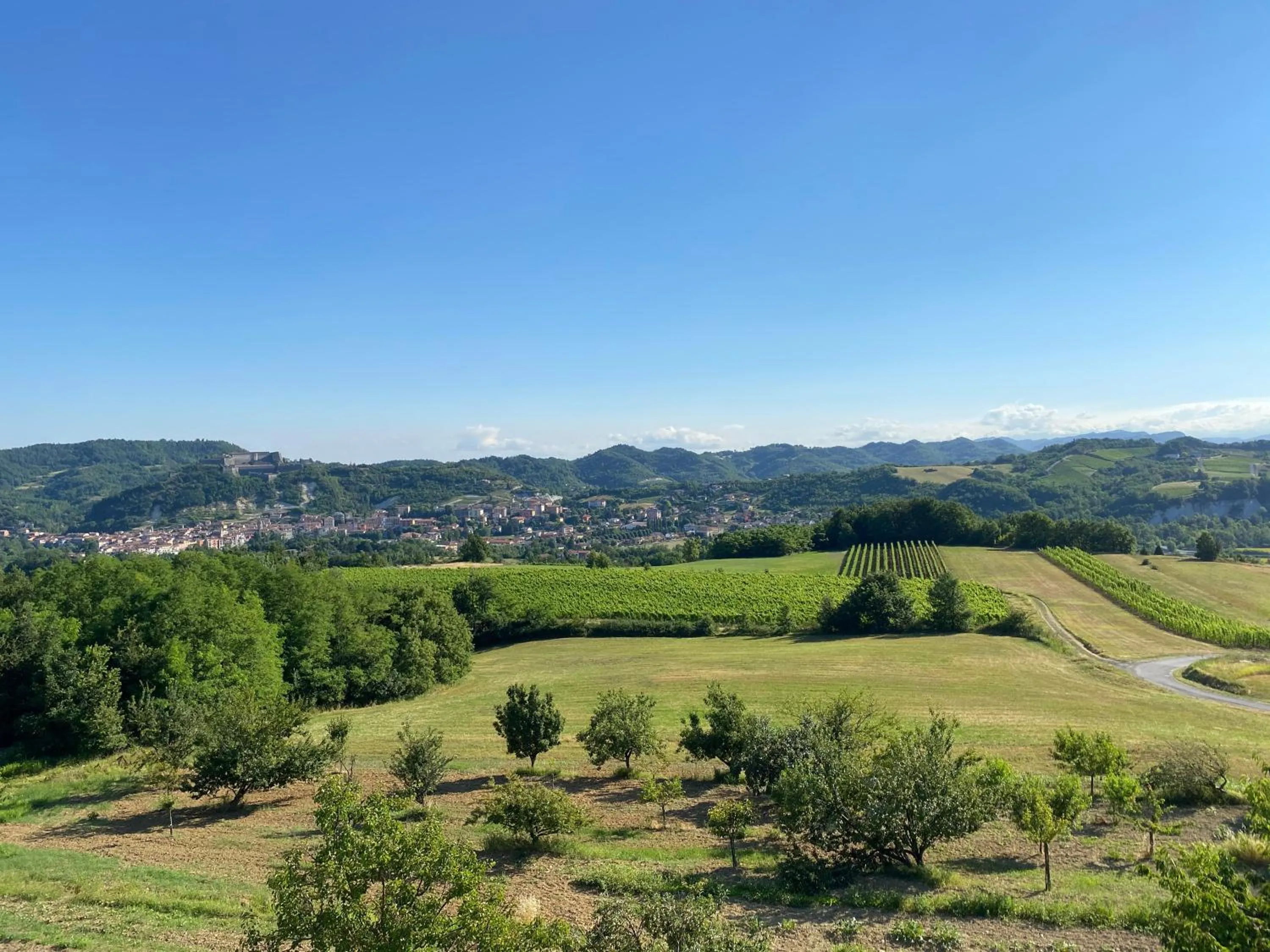 Vista sul Forte