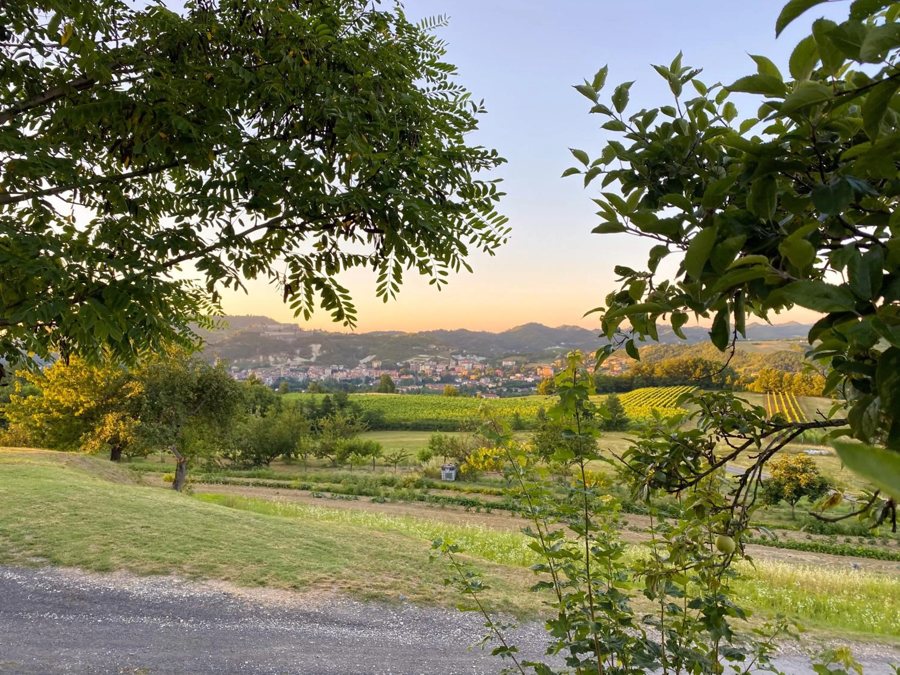 Vista sul Forte