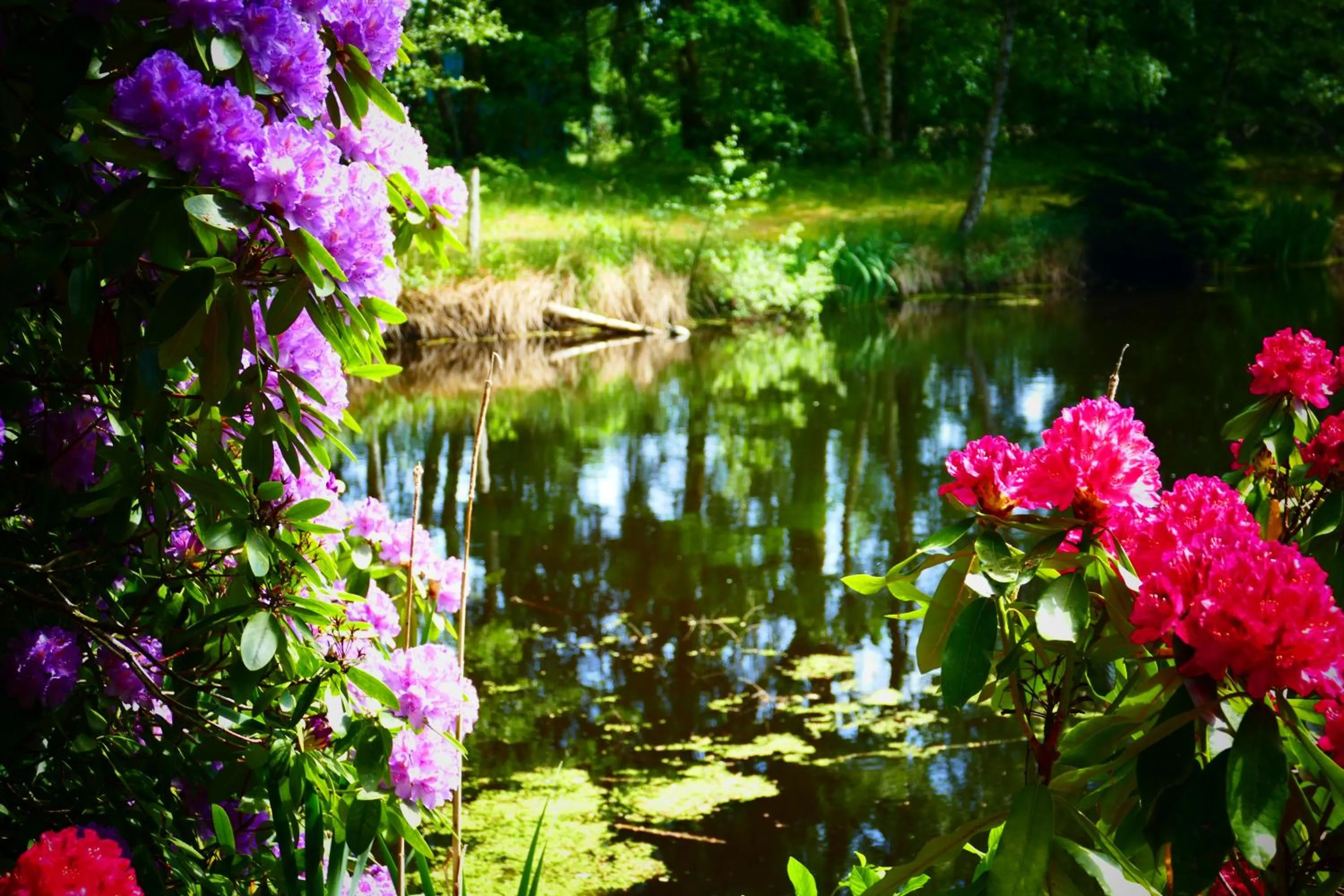 Neighbourhood in Hotel Heide Kröpke