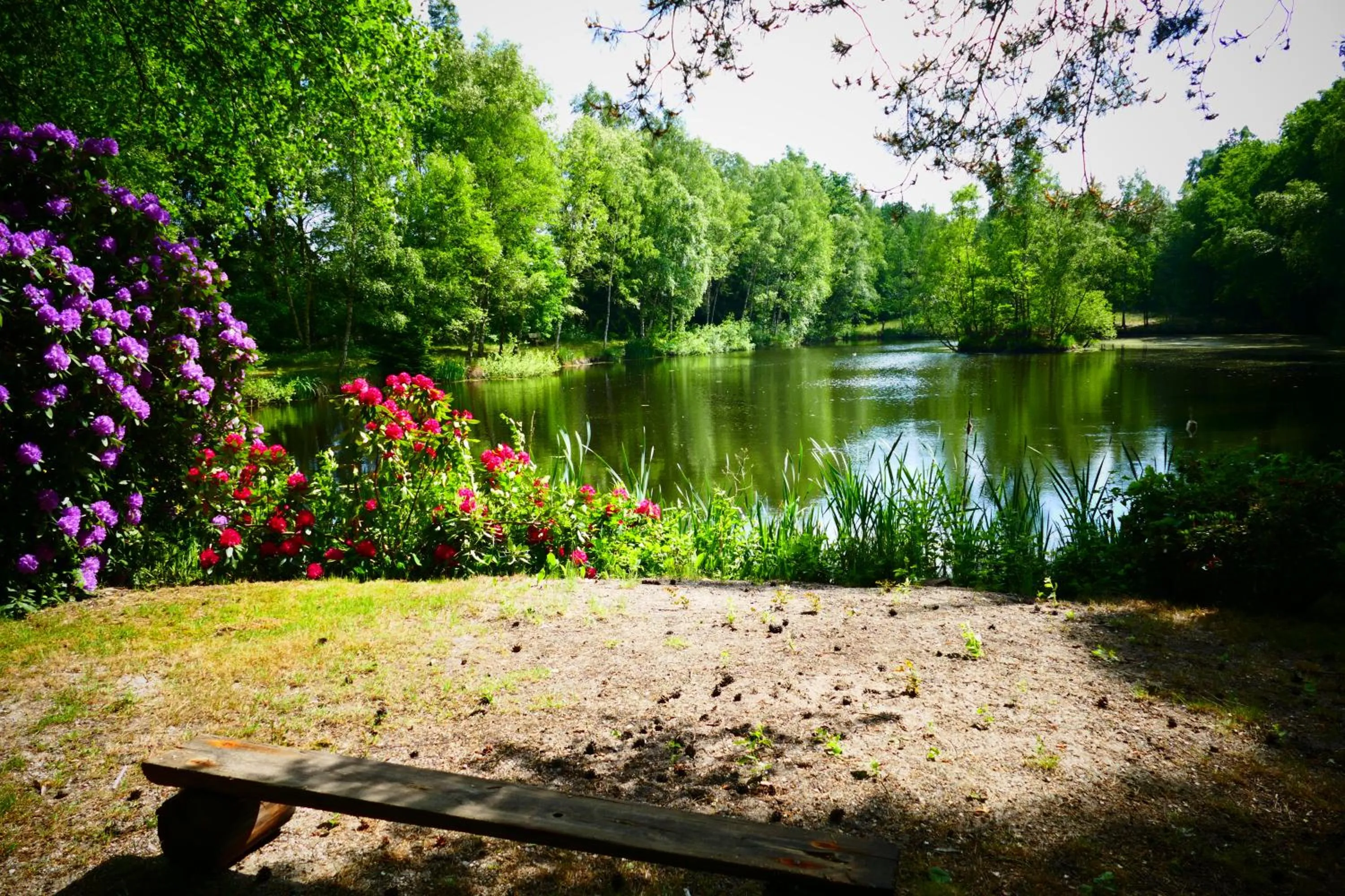 Garden in Hotel Heide Kröpke