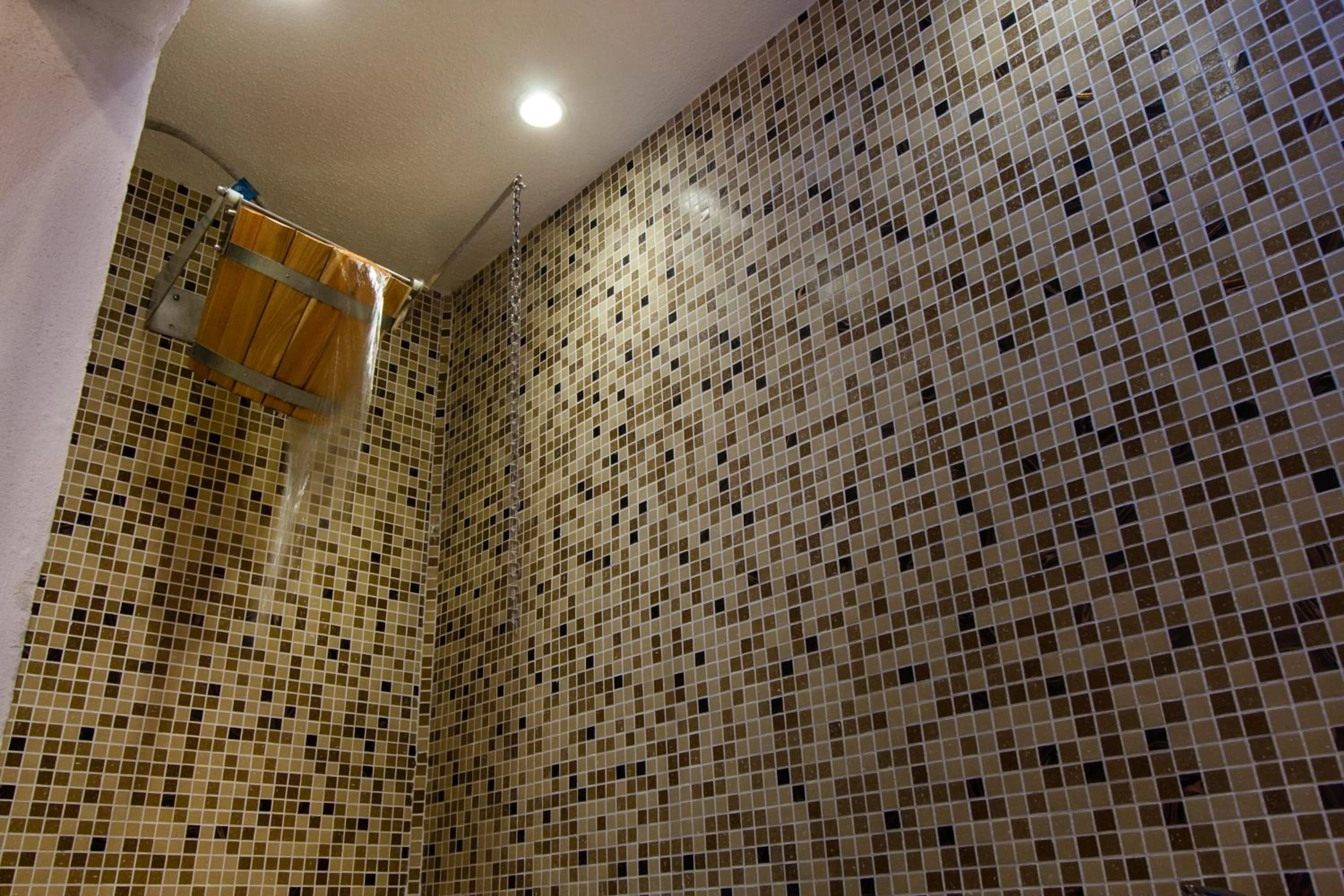 Spa and wellness centre/facilities in Hotel Palace