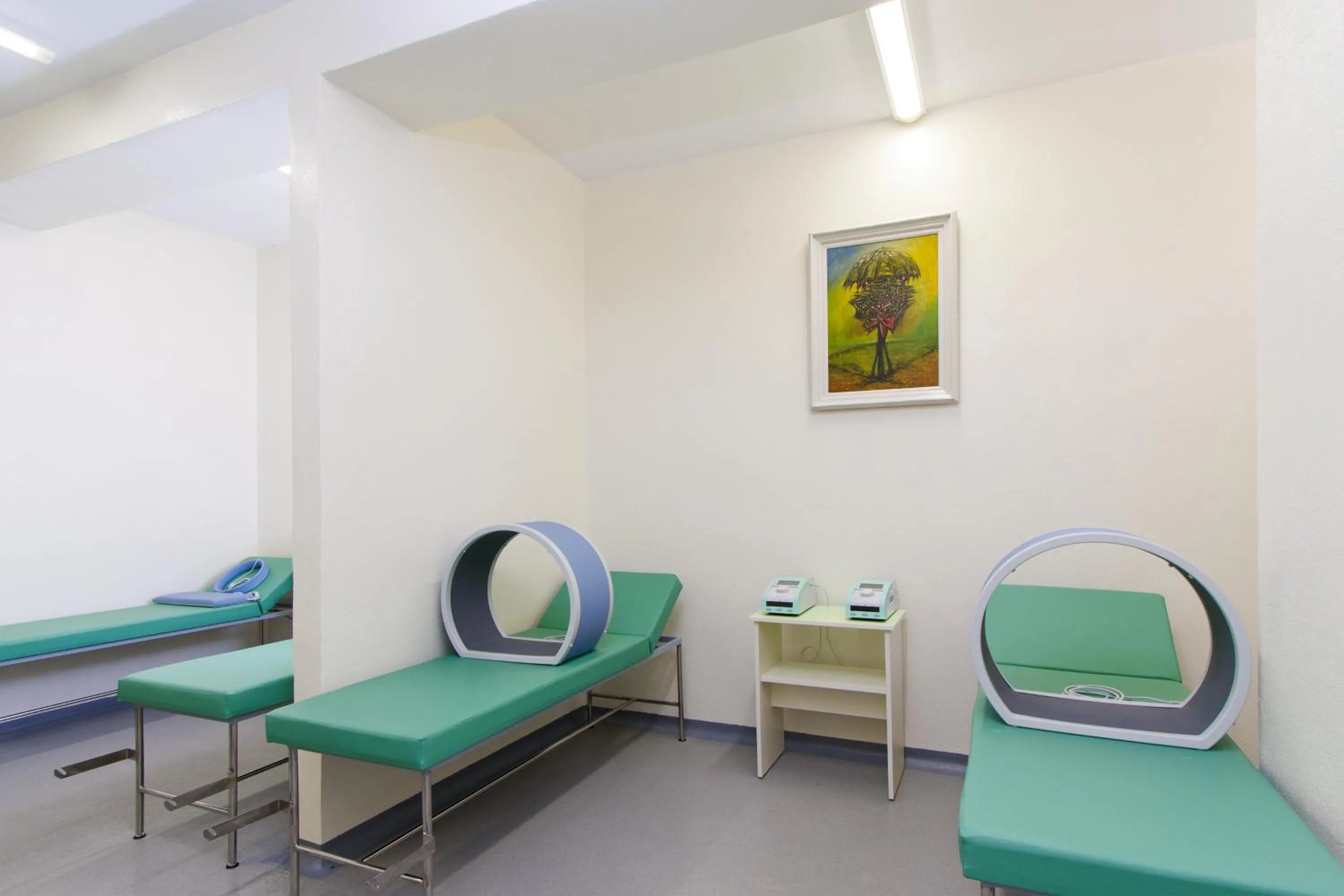 Spa and wellness centre/facilities in Hotel Palace