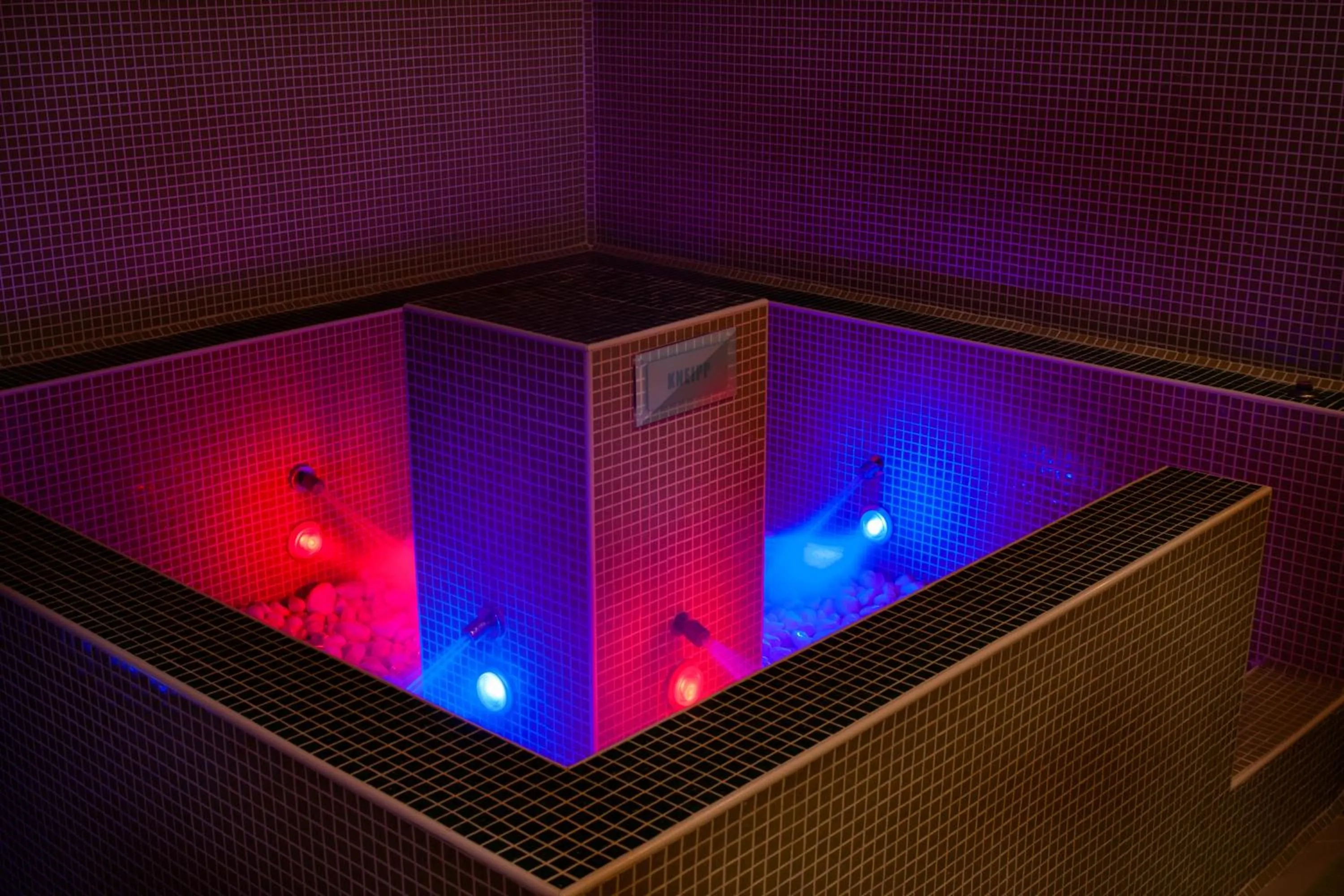 Spa and wellness centre/facilities in Hotel Palace