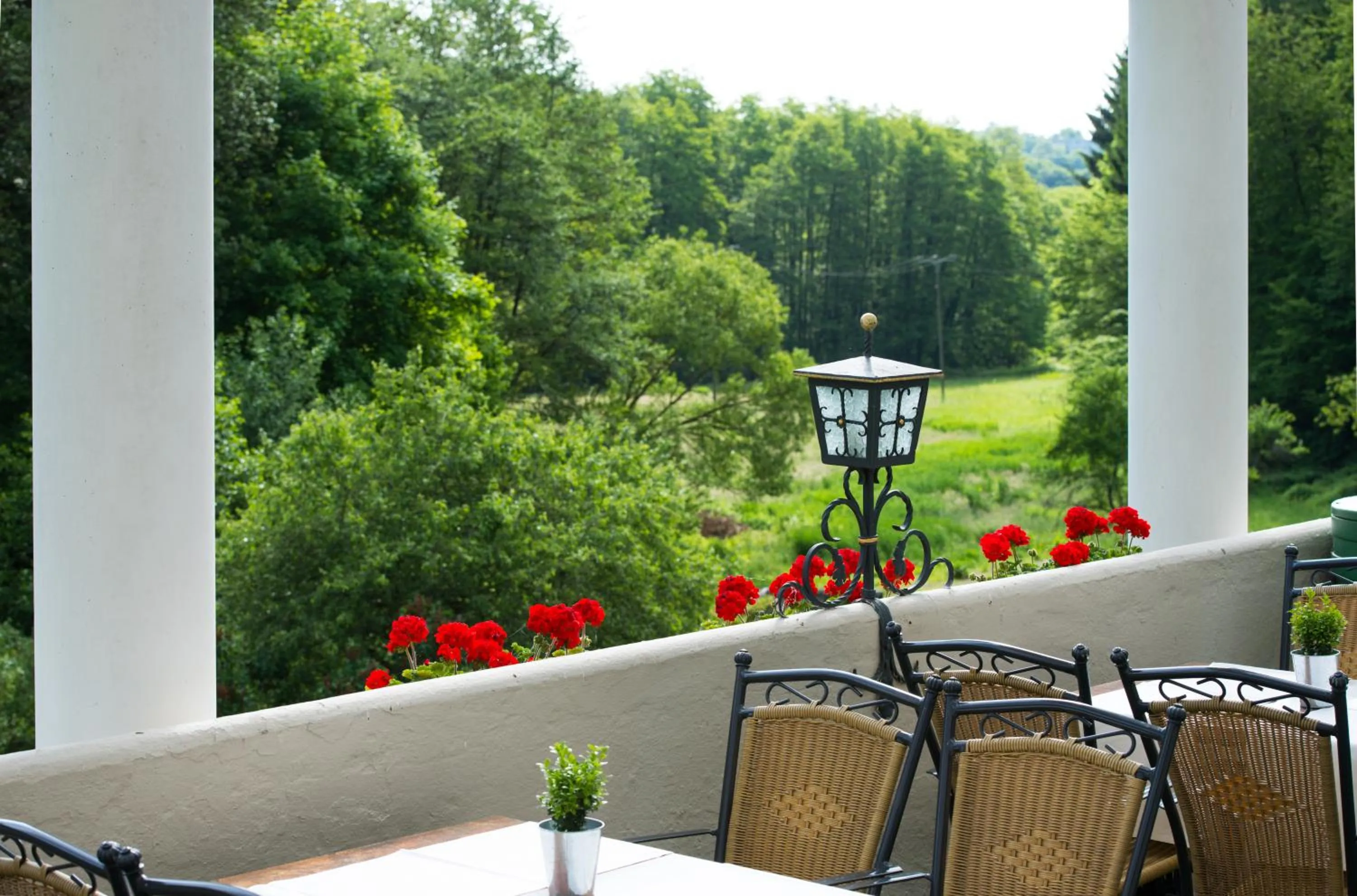 Balcony/Terrace in Akzent Waldhotel Rheingau