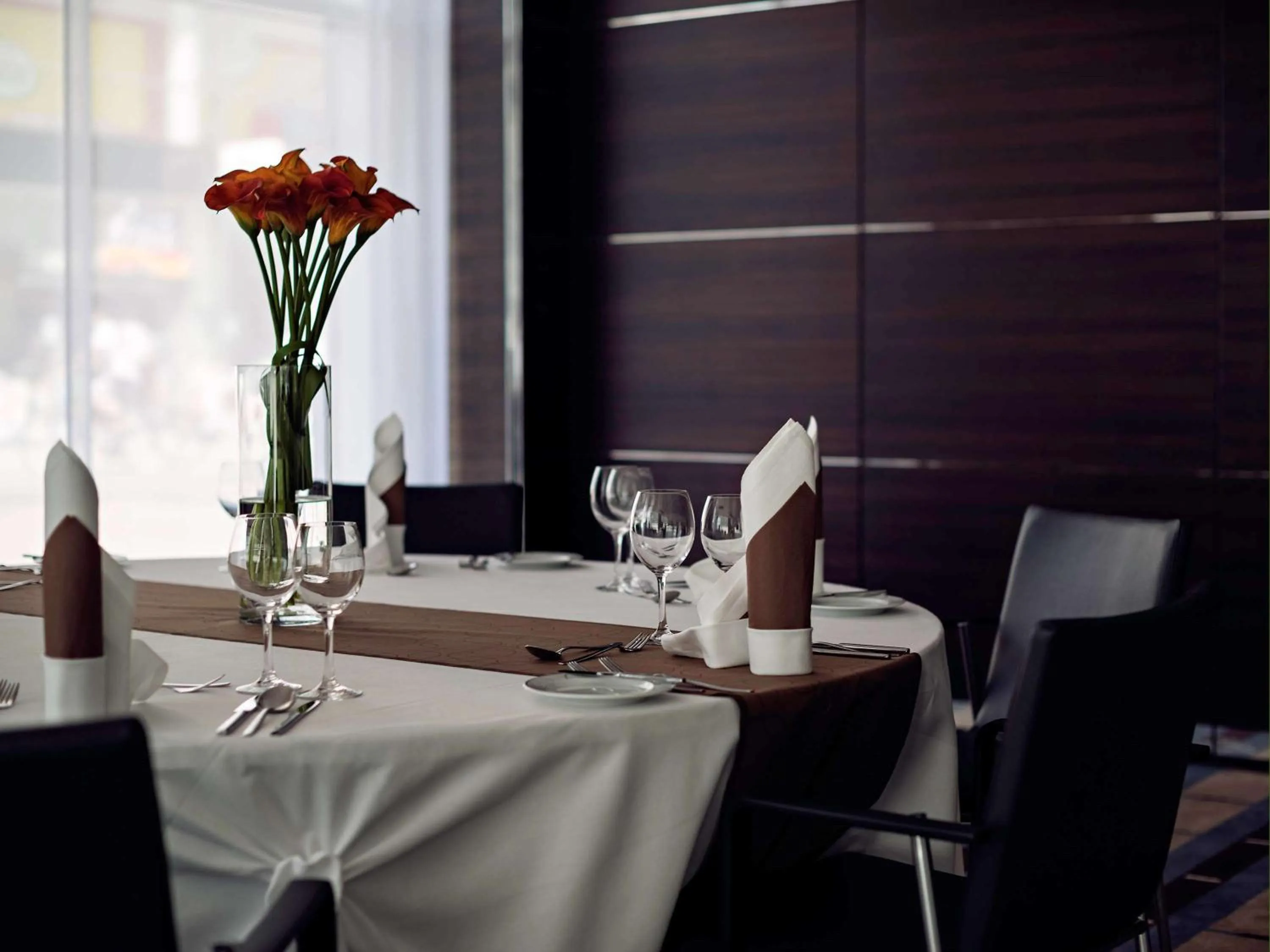 Other in Occidental Dresden Newa