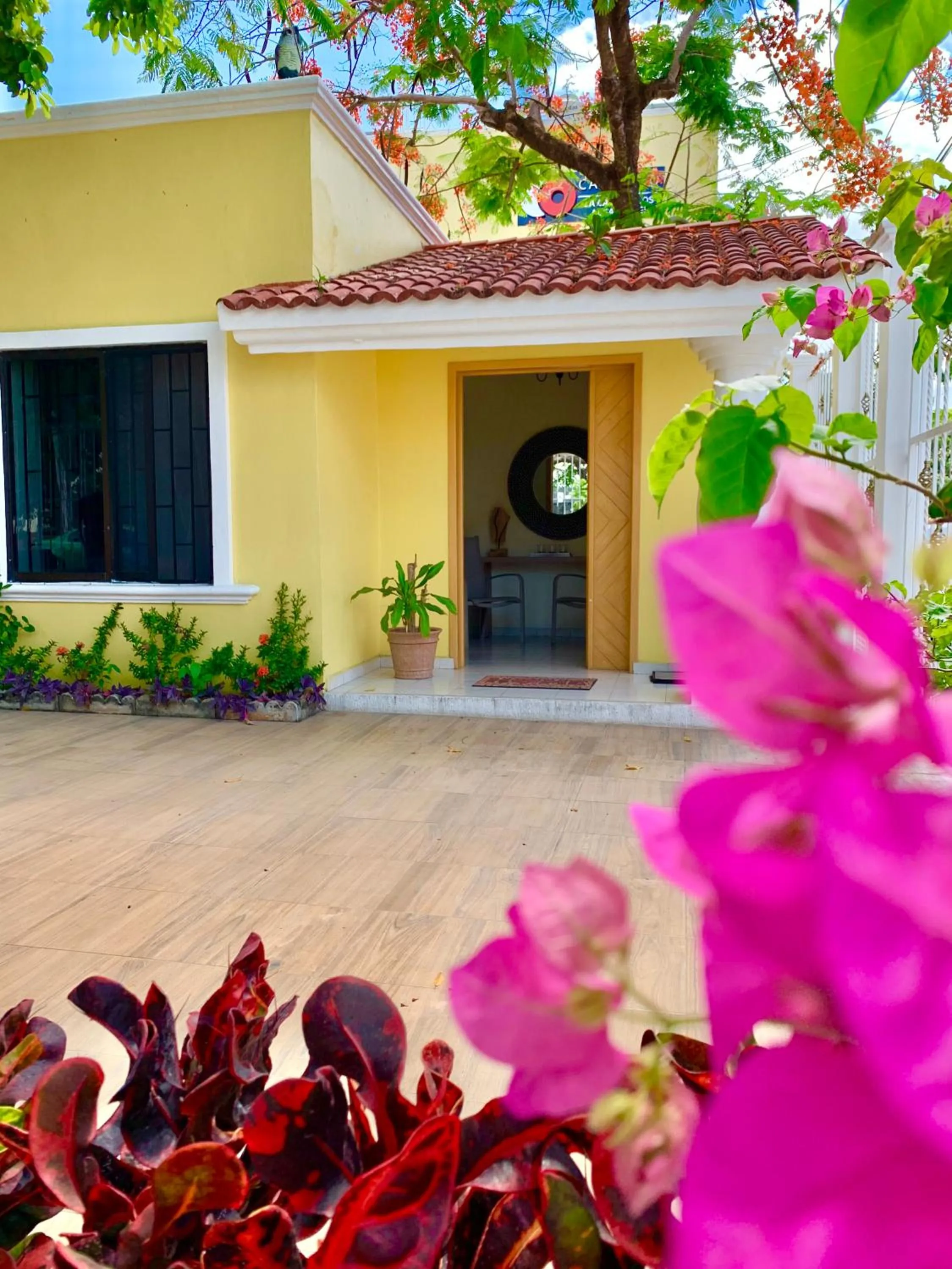 Property building in La Casa de los Alcatraces