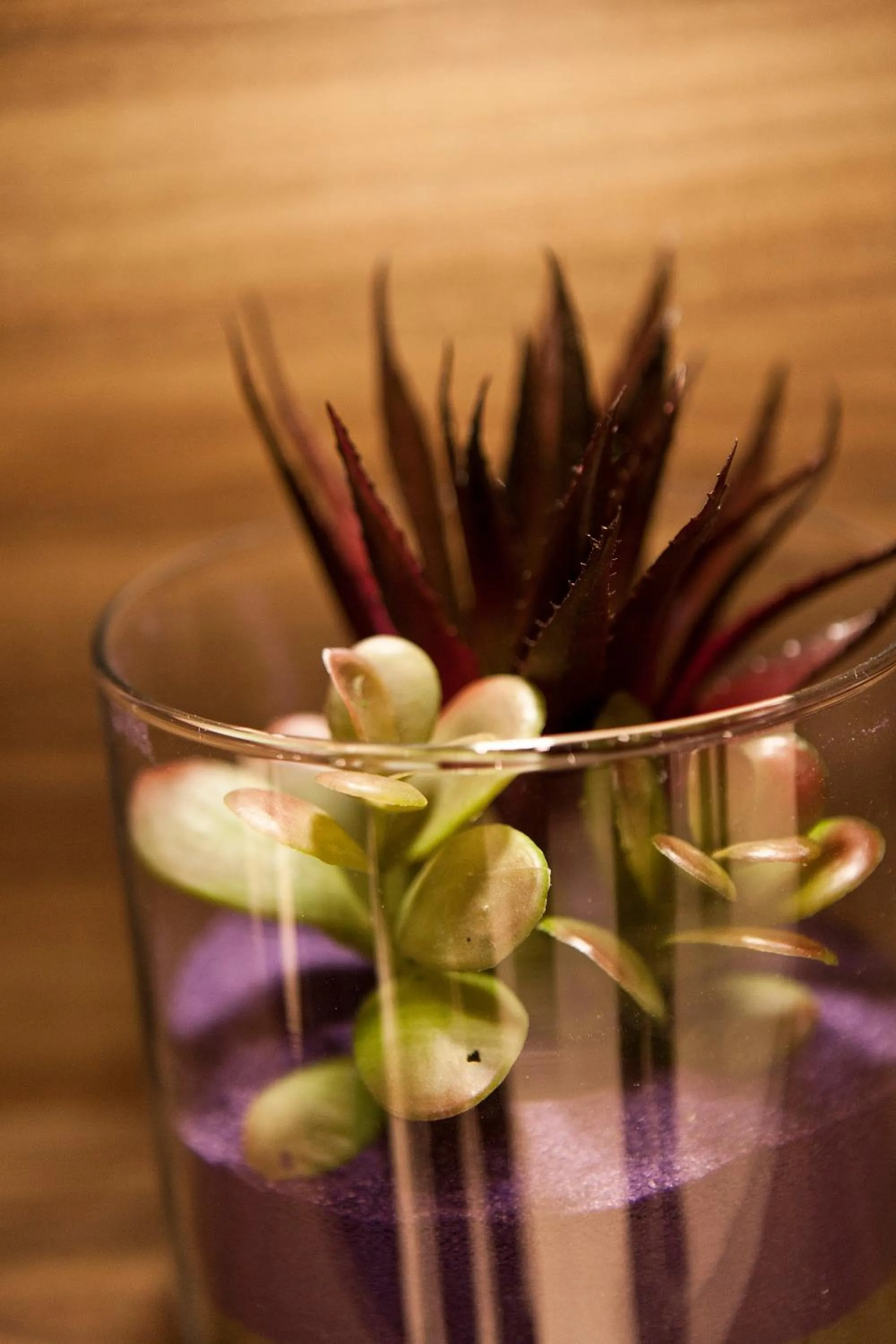 Area and facilities in Sotetsu Fresa Inn Chiba Kashiwa