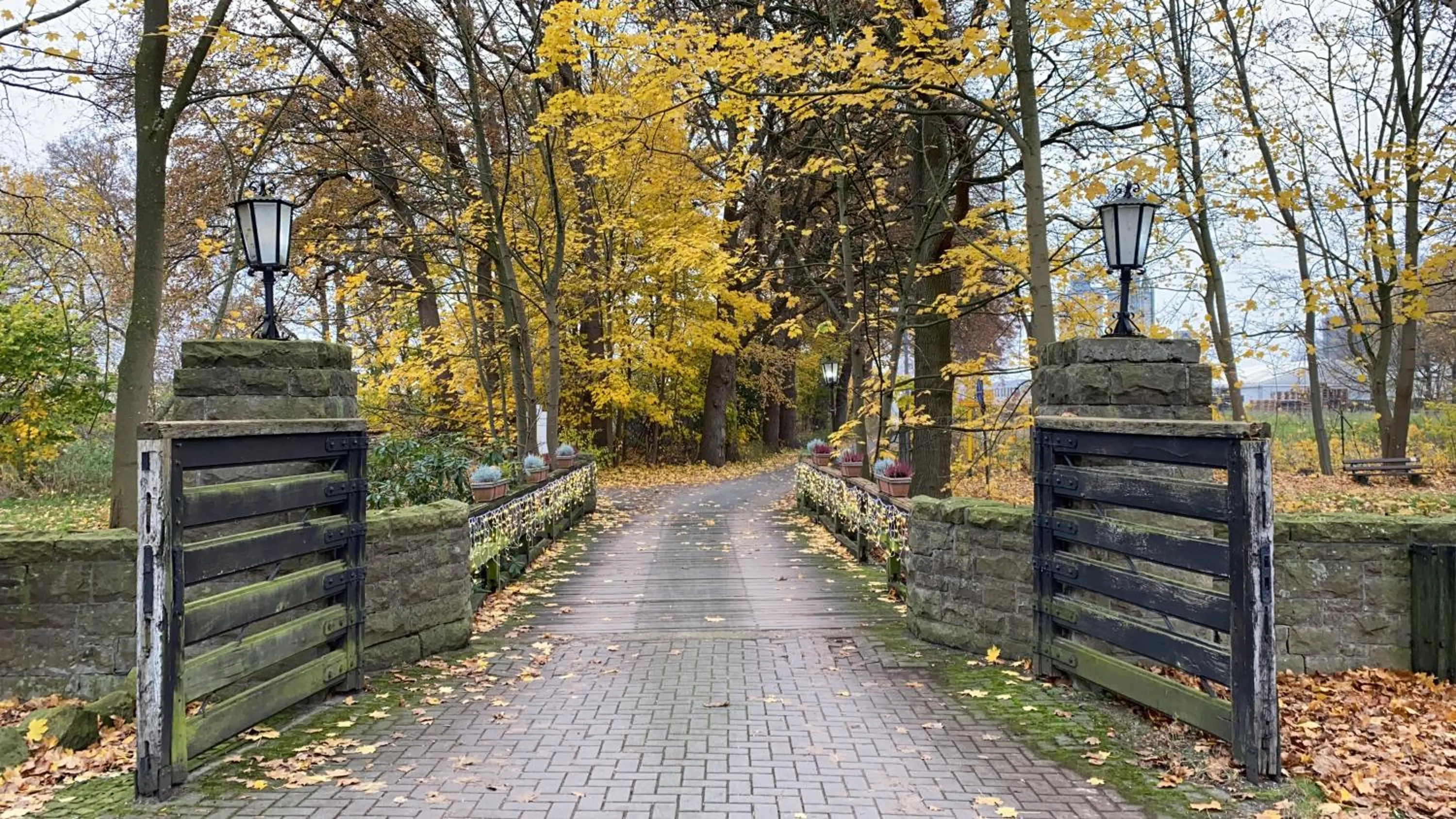 Garden in Hotel Saltenhof