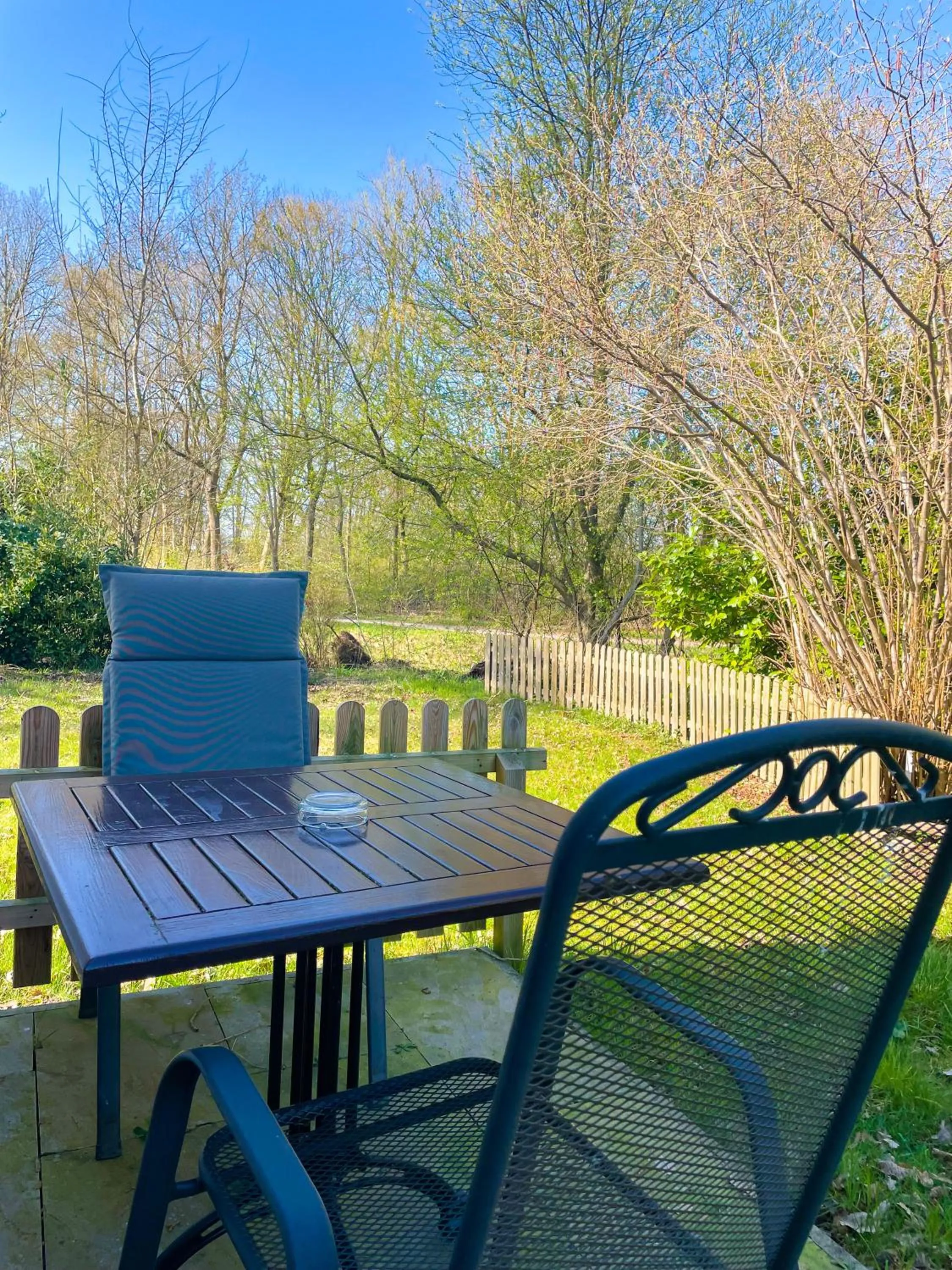 Balcony/Terrace in Hotel Saltenhof