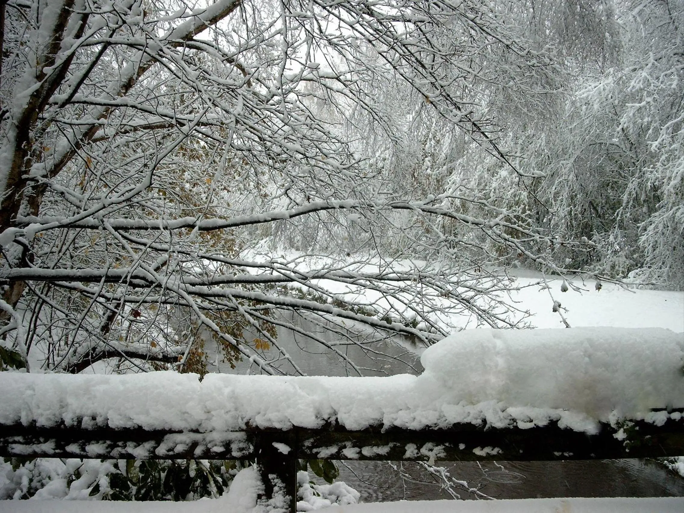 Natural landscape in Hotel Saltenhof