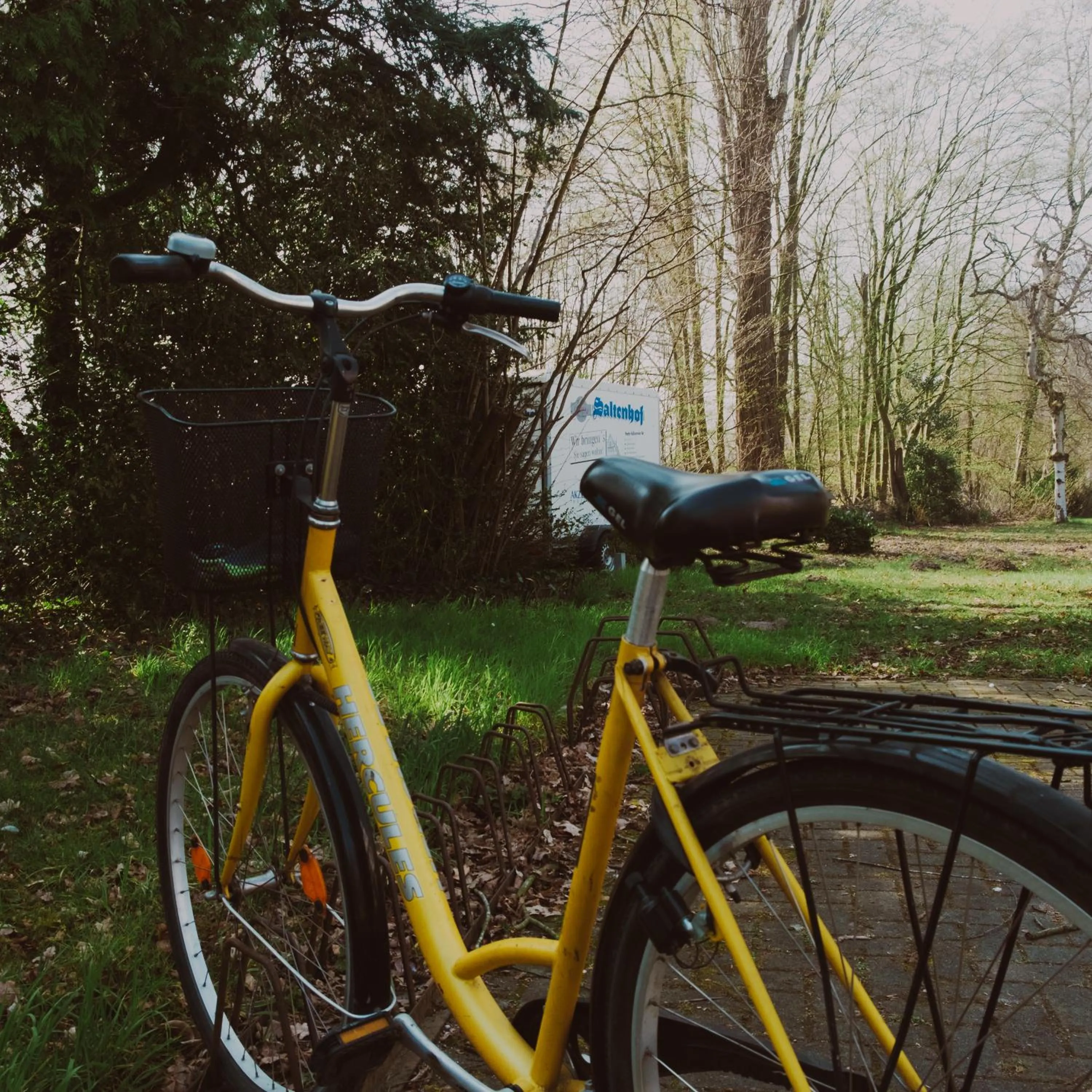 Activities in Hotel Saltenhof