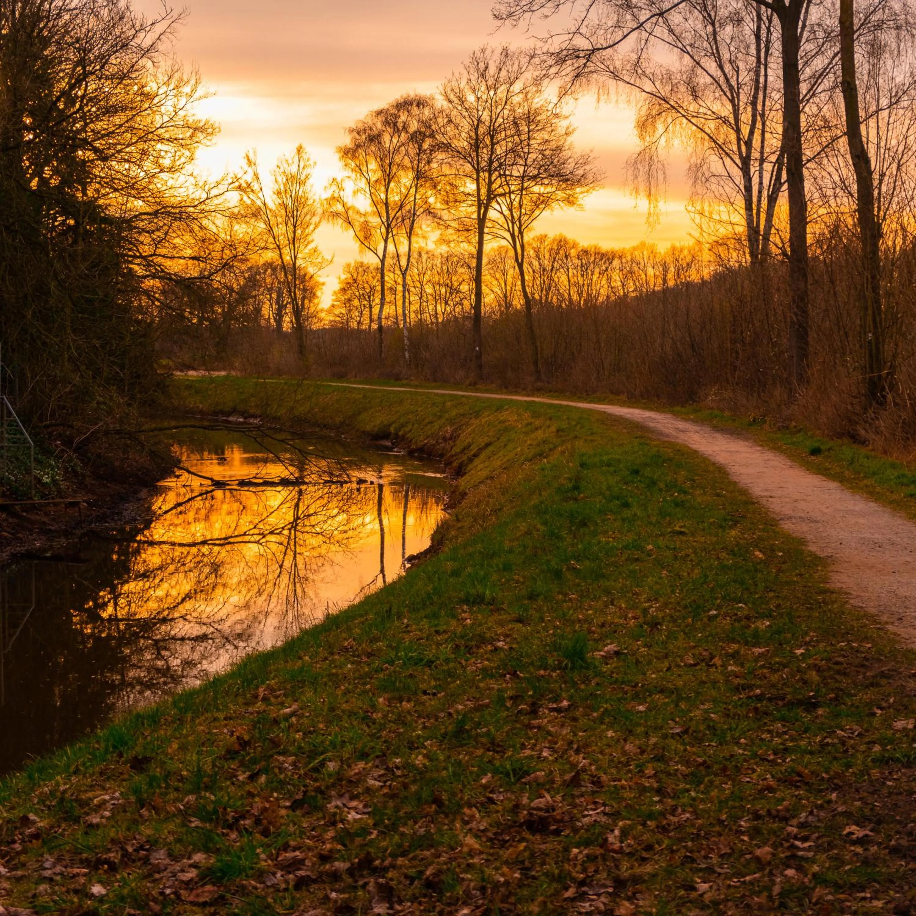 Natural landscape in Hotel Saltenhof