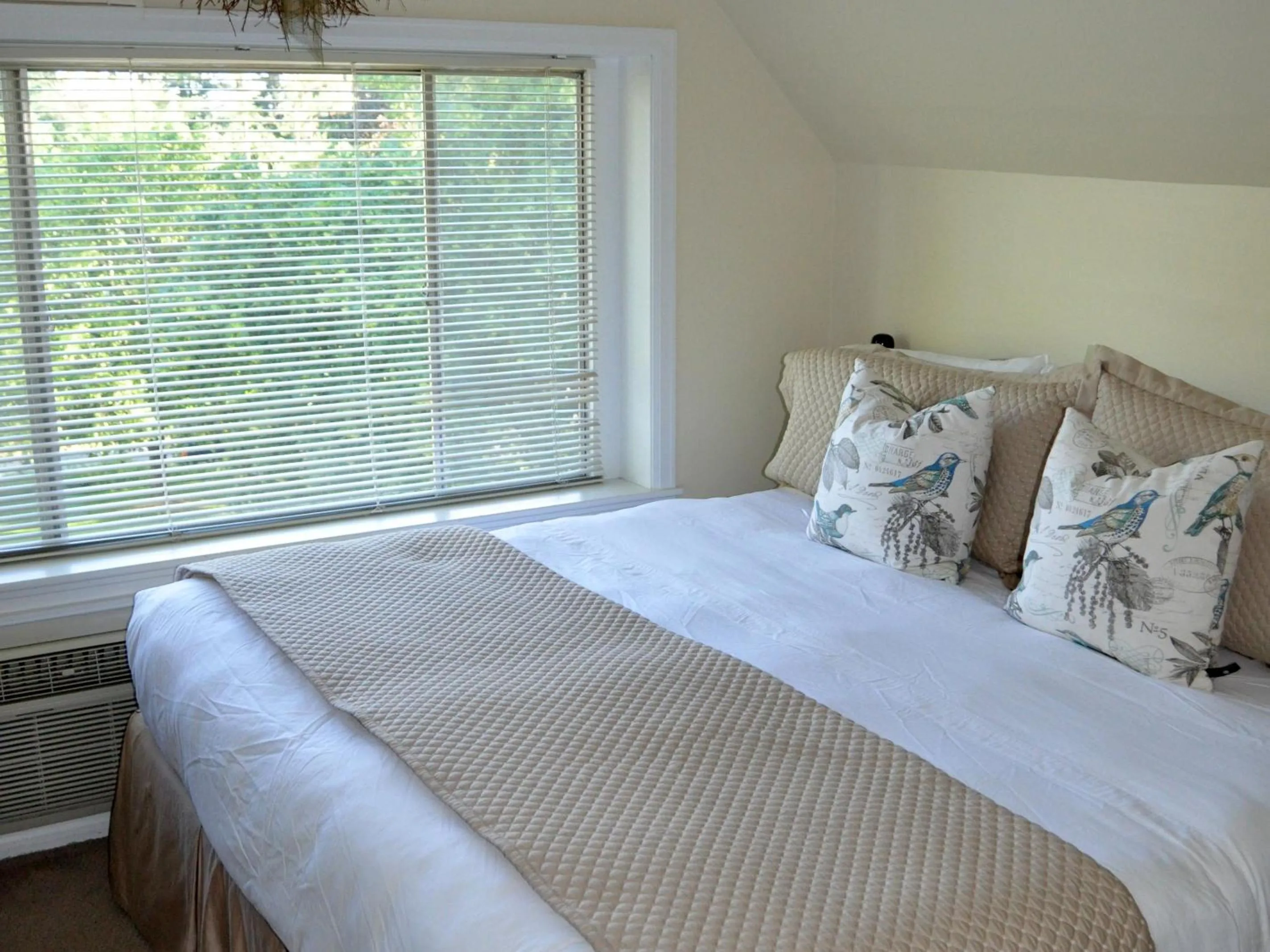 Superior Suite in Anne's Washington Inn