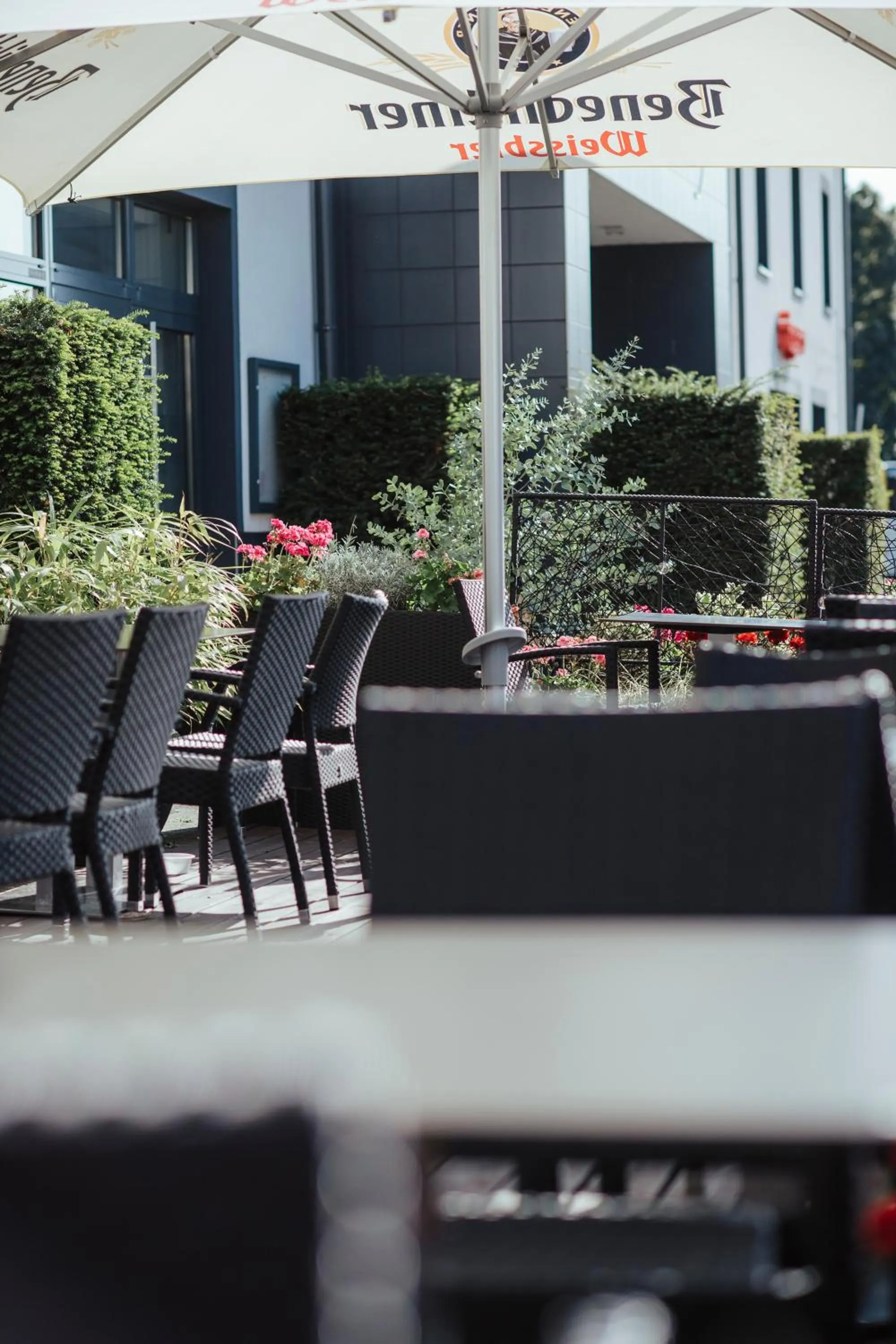 Restaurant/places to eat in Hotel Lindenhof