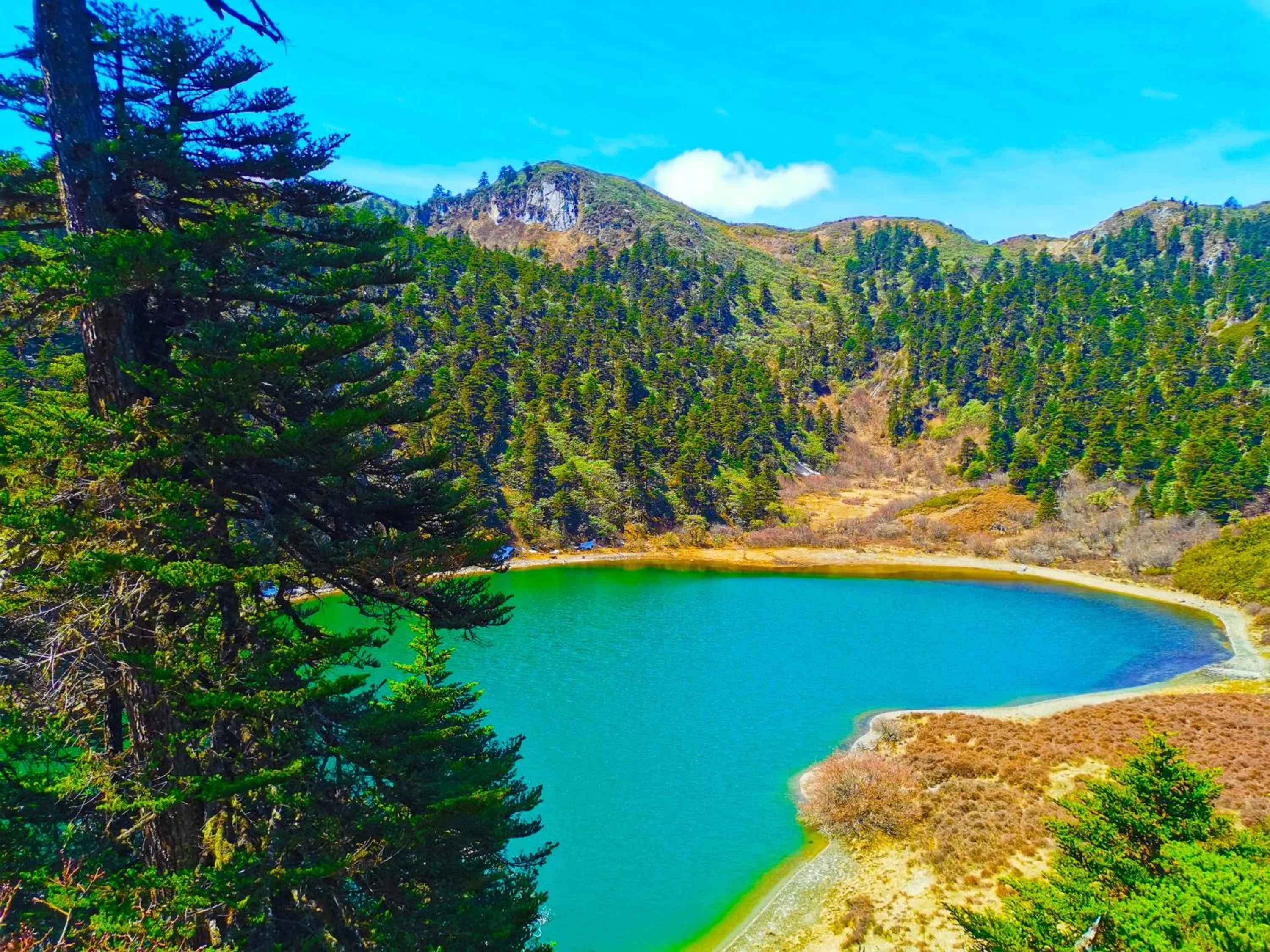 Property building in Arro Khampa By Zinc Journey Shangri-la