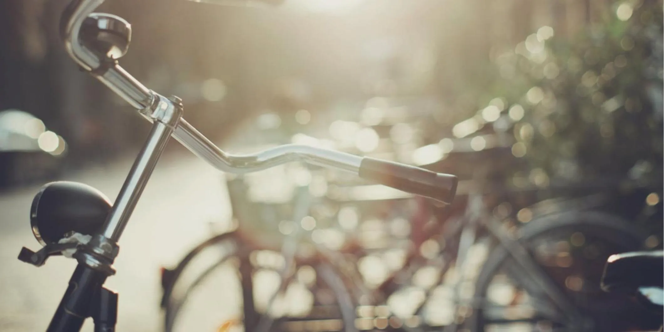 Fitness centre/facilities in Hotel Bristol Berlin