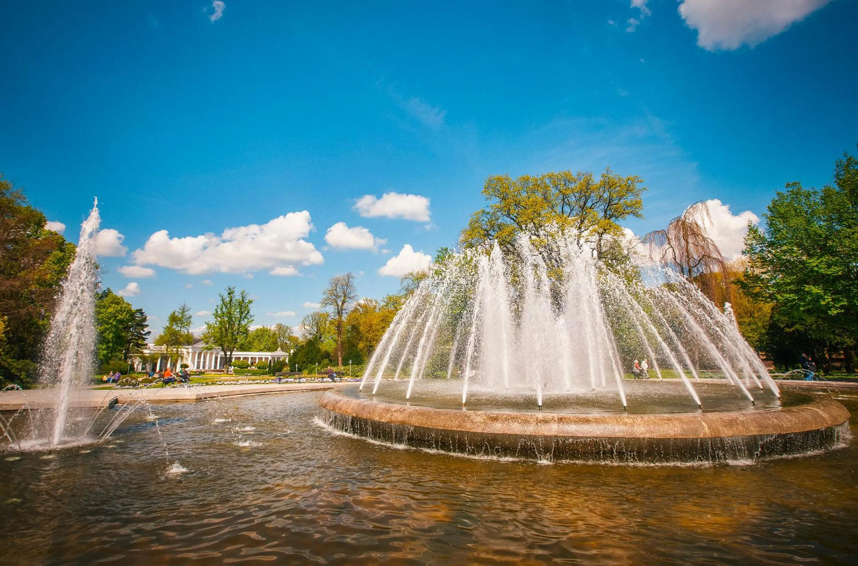 Area and facilities in Vienna House Easy by Wyndham Bad Oeynhausen