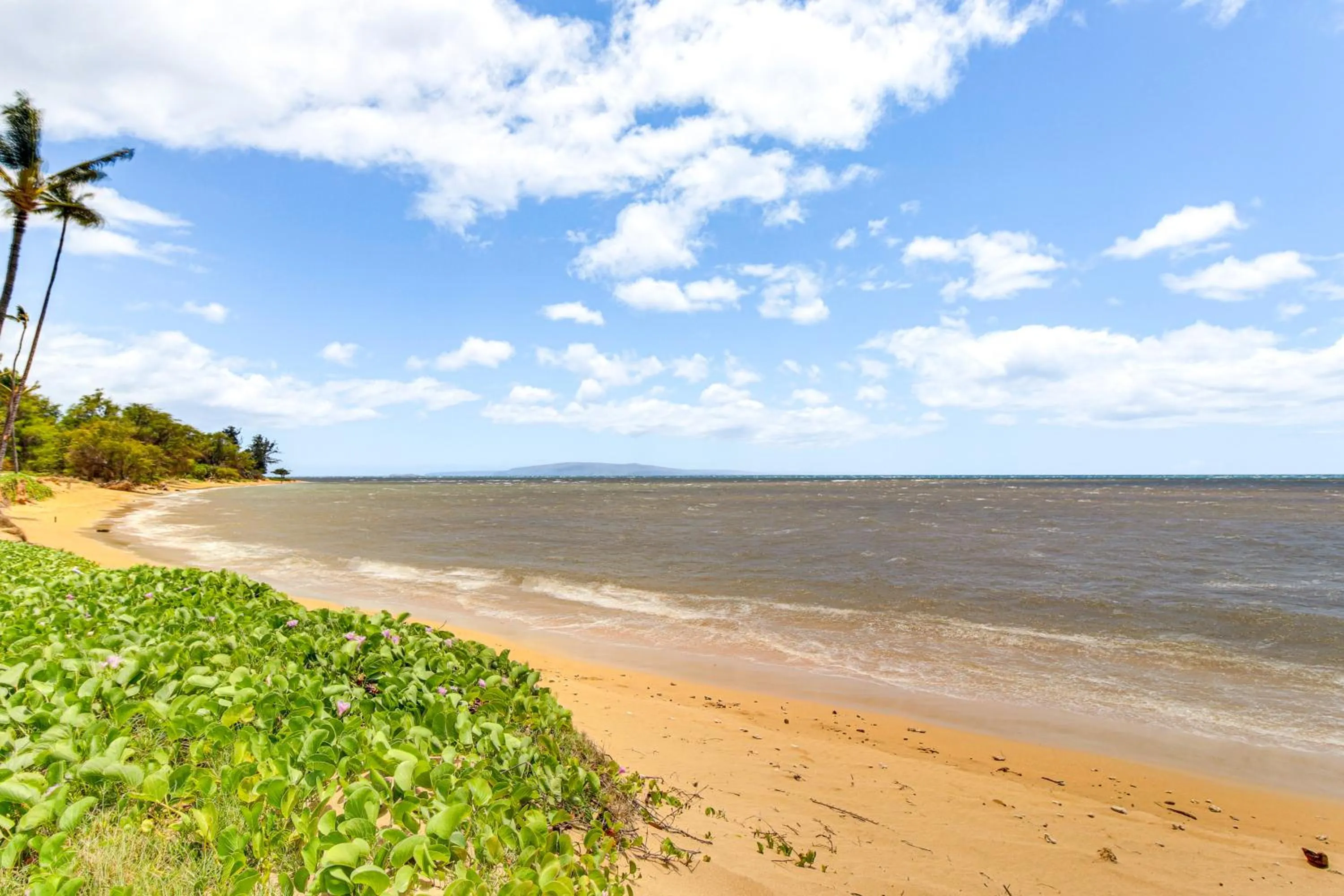 Gorgeous Oceanfront Condo with Spectacular Views!