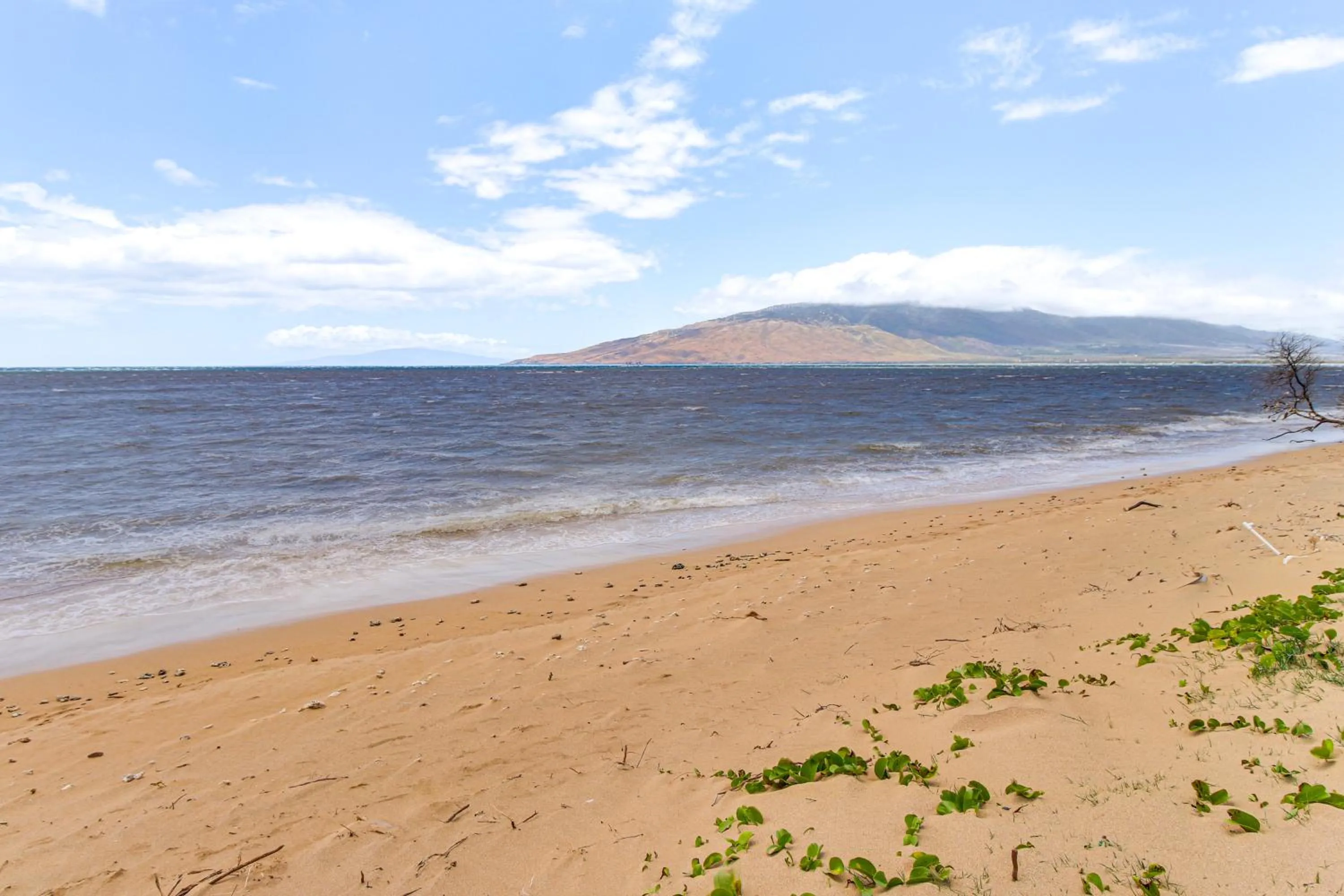 Gorgeous Oceanfront Condo with Spectacular Views!