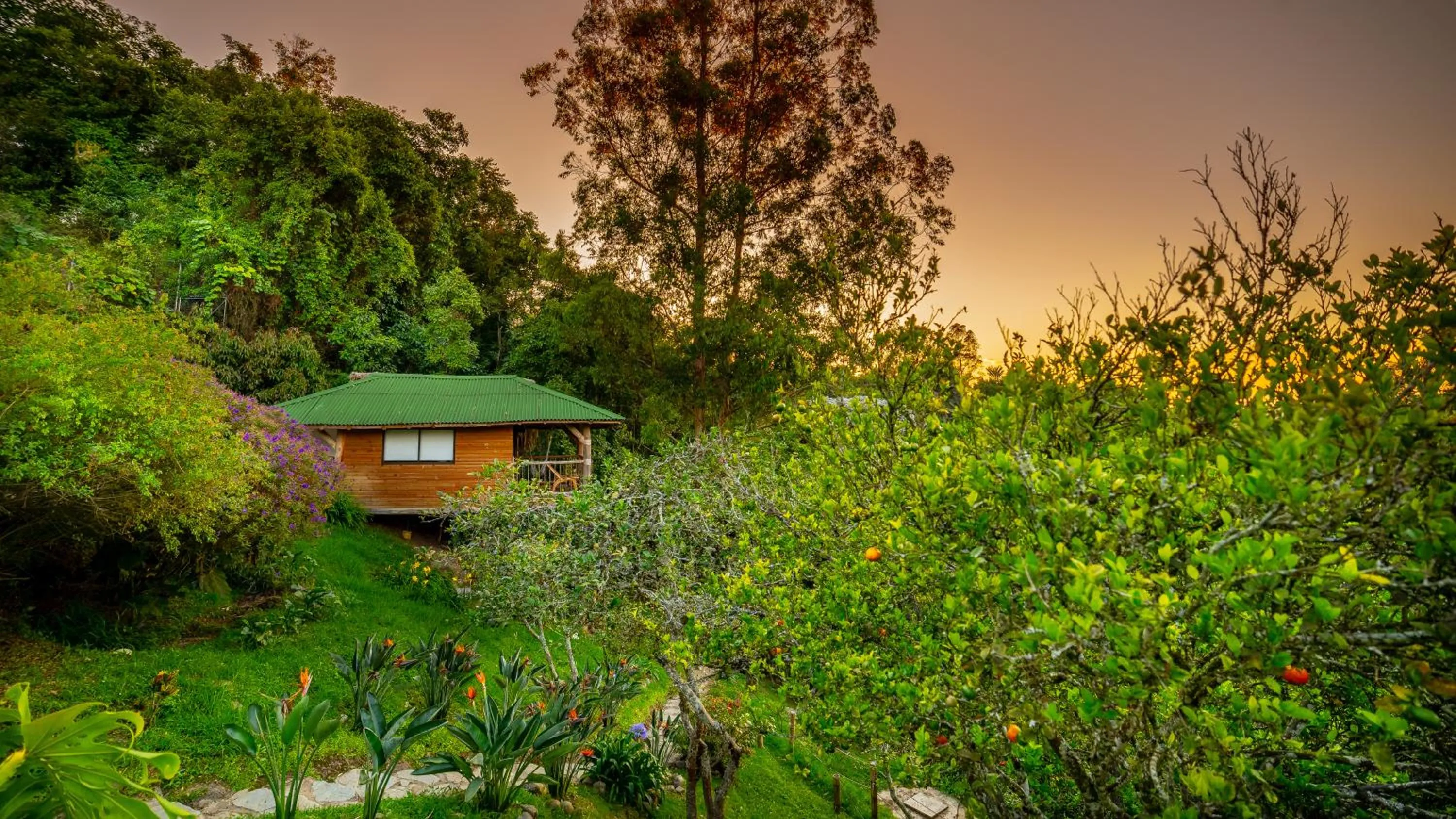 Day in Hotel Kawa Mountain Retreat