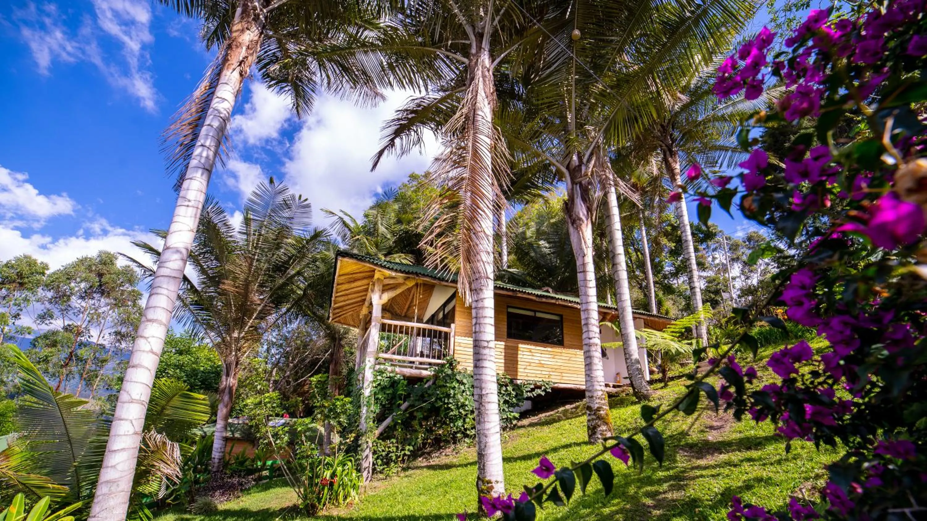 Natural landscape in Hotel Kawa Mountain Retreat