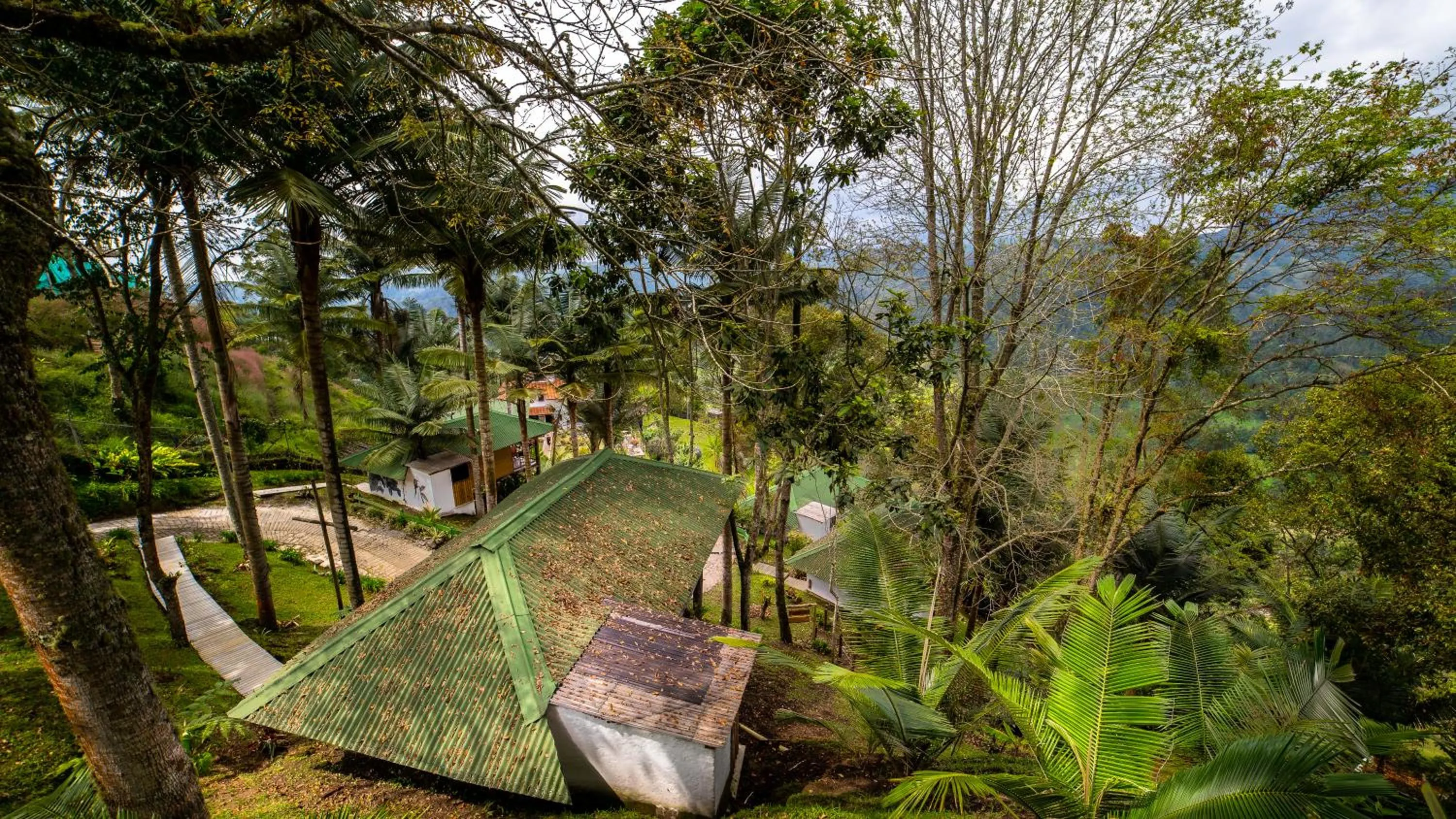Natural landscape in Hotel Kawa Mountain Retreat