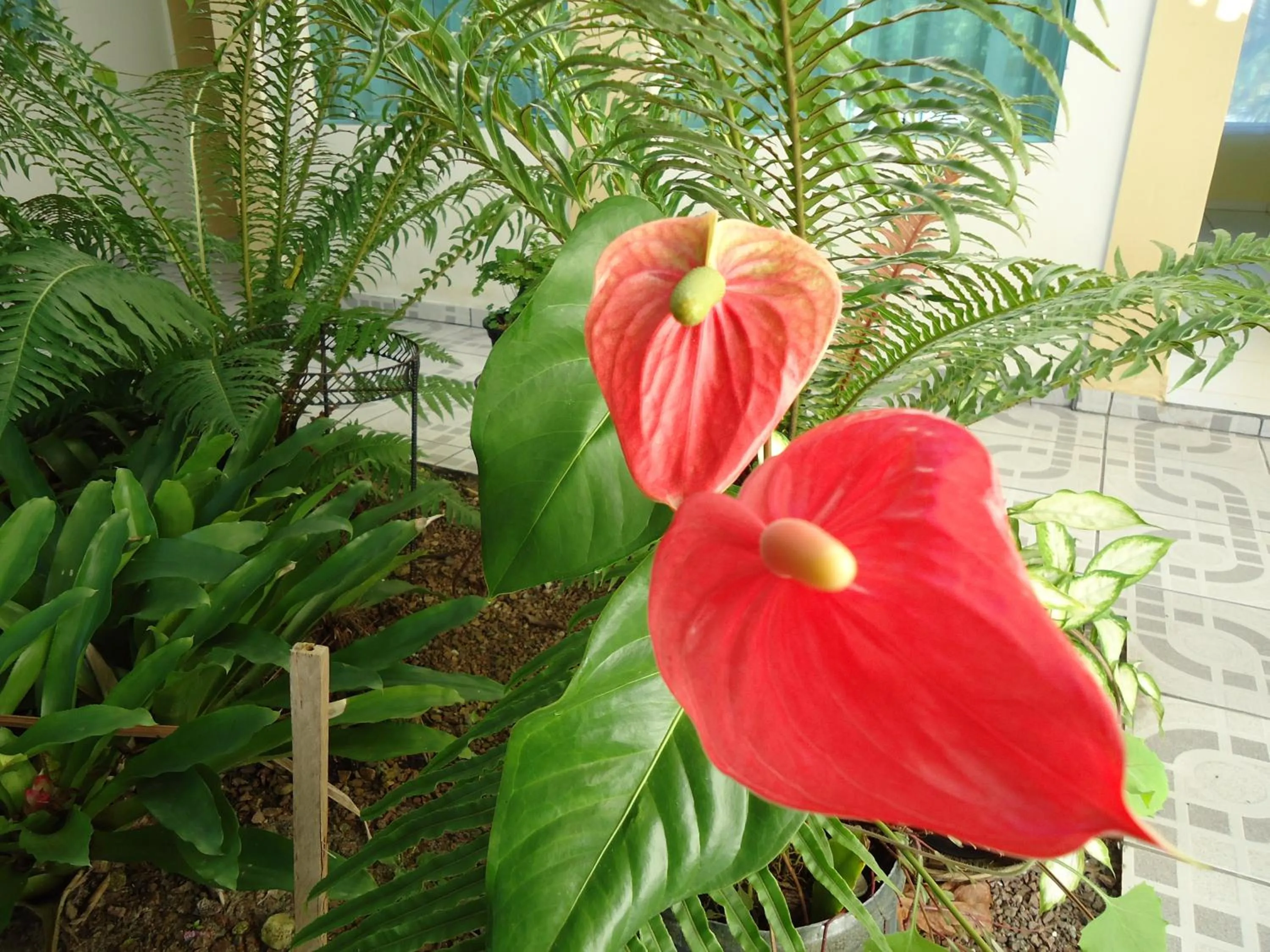 Other in Hotel e Pousada Boulevard de Itapoa