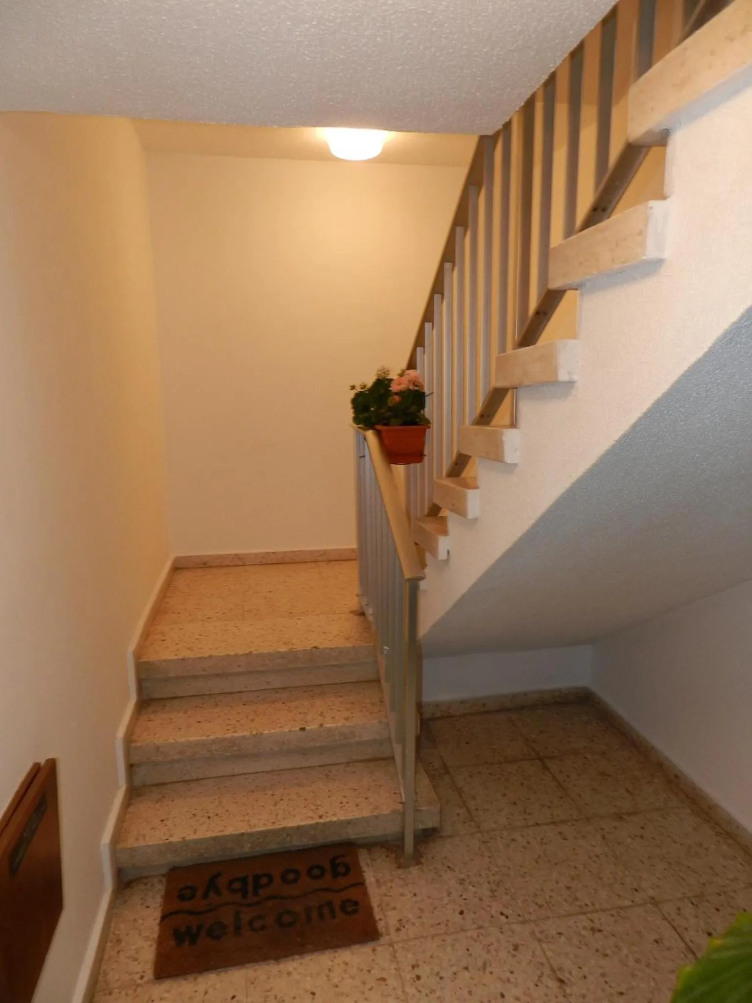 Facade/entrance in Elenapa Holiday Apartments