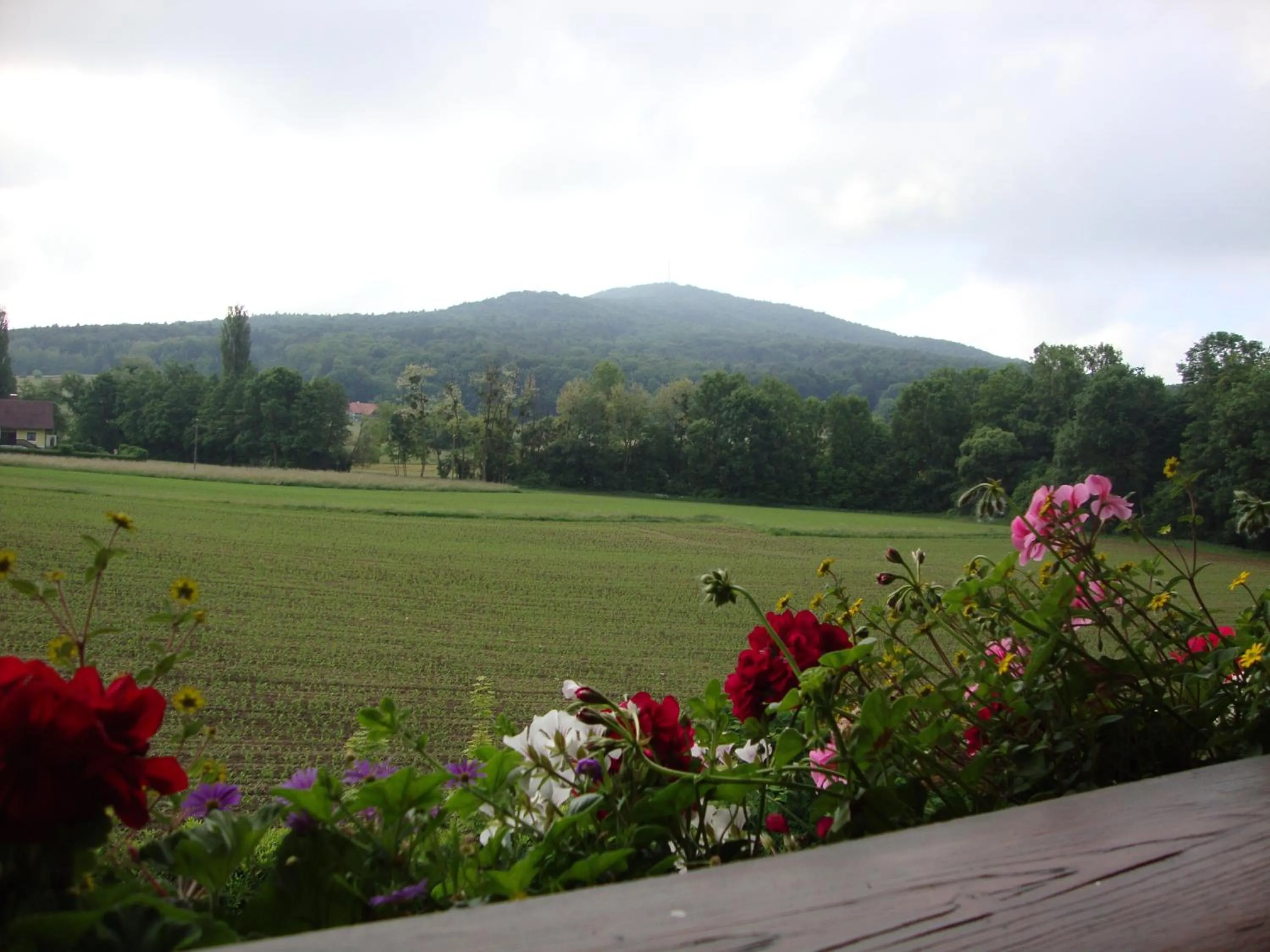 View (from property/room) in Casa Anna