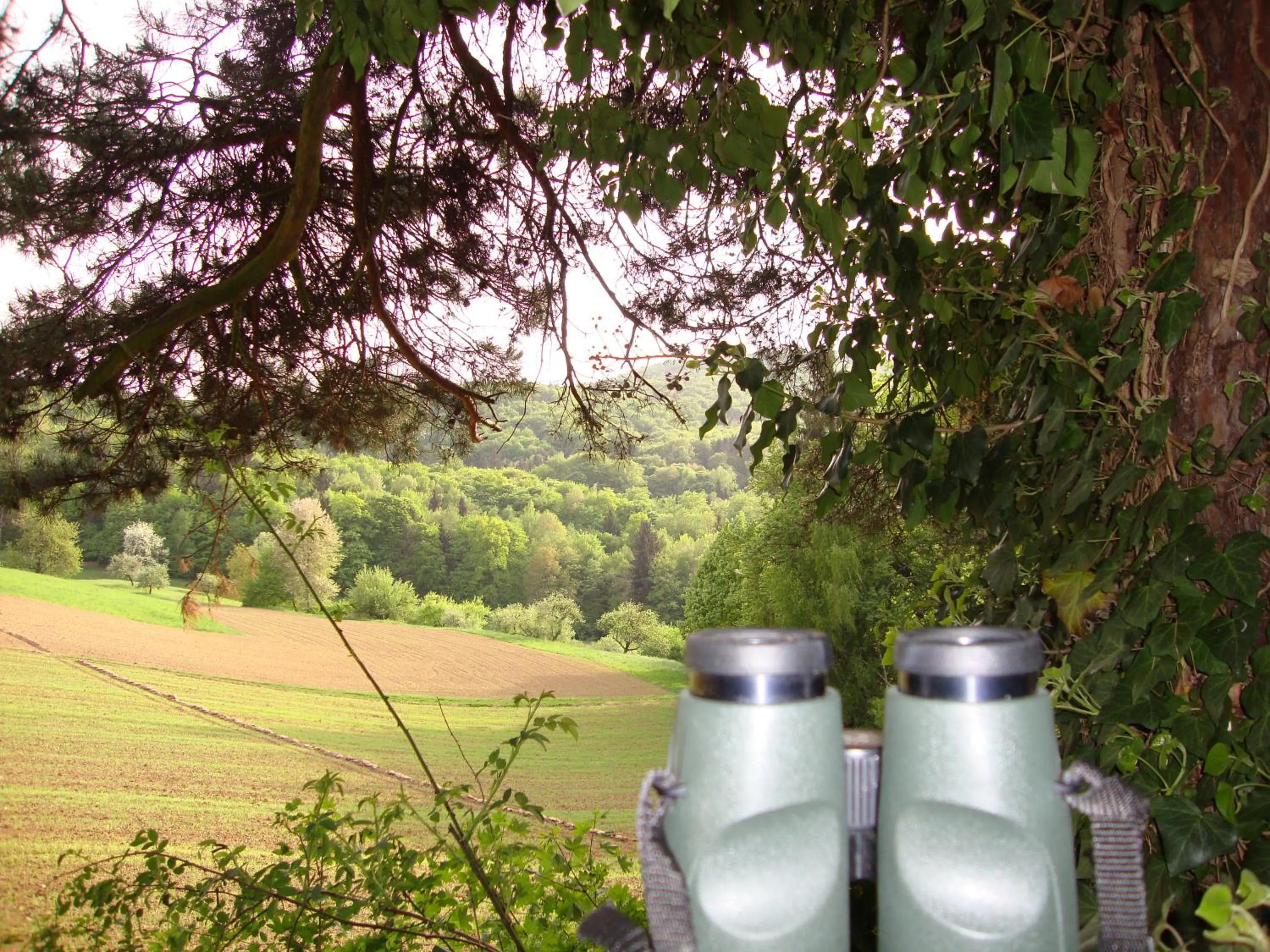 Hiking in Casa Anna