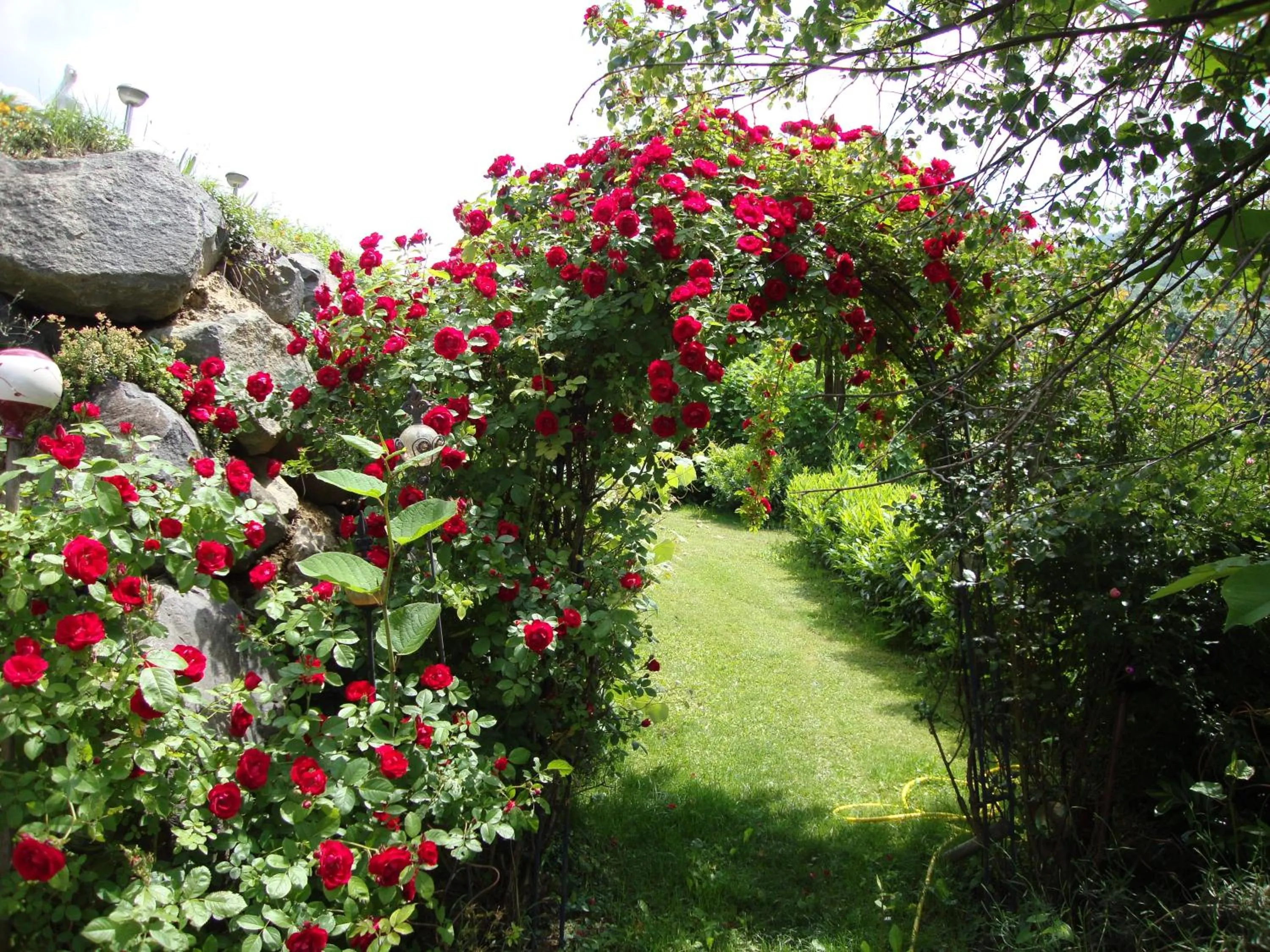 Garden in Casa Anna