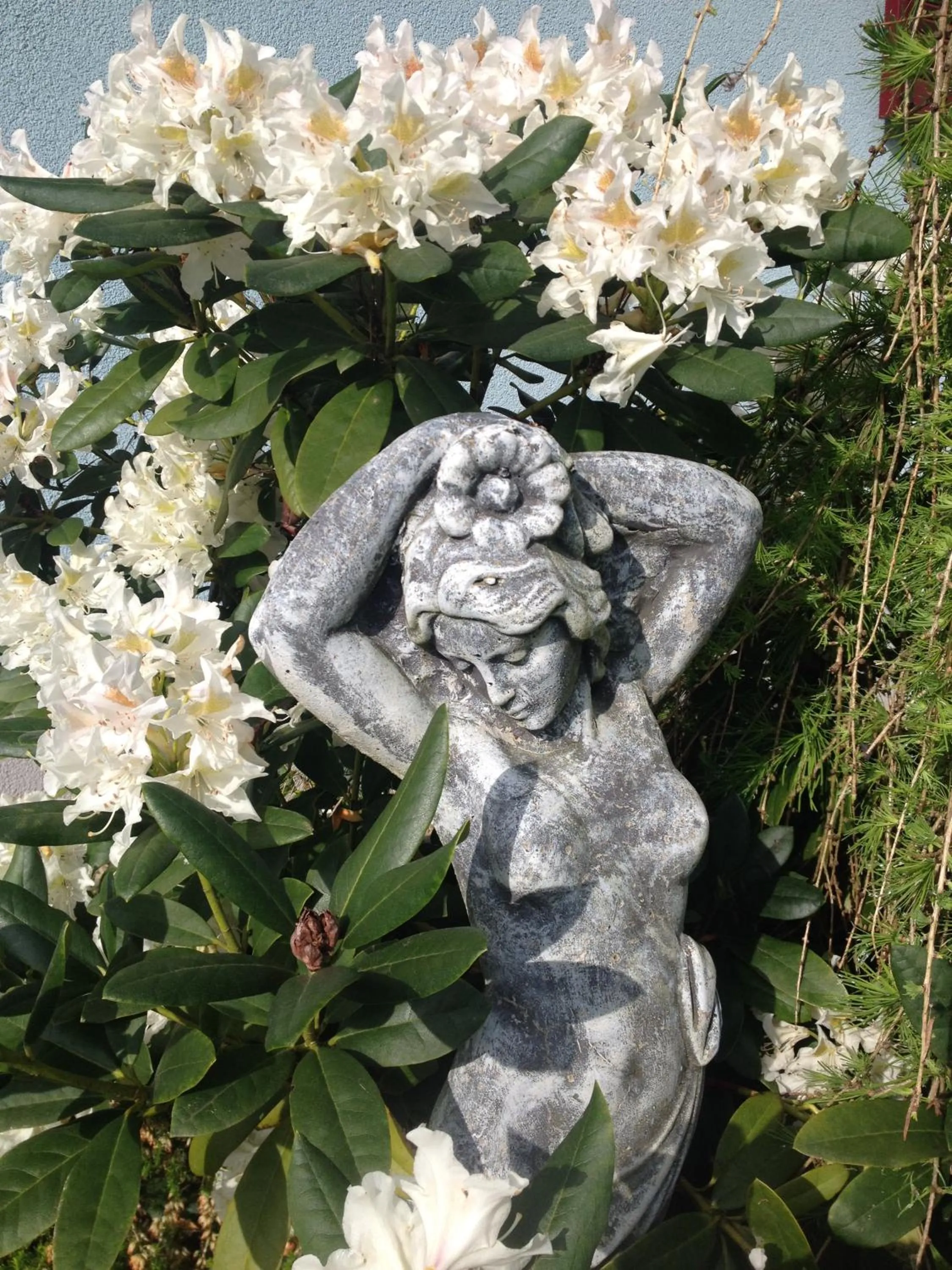 Garden in Casa Anna