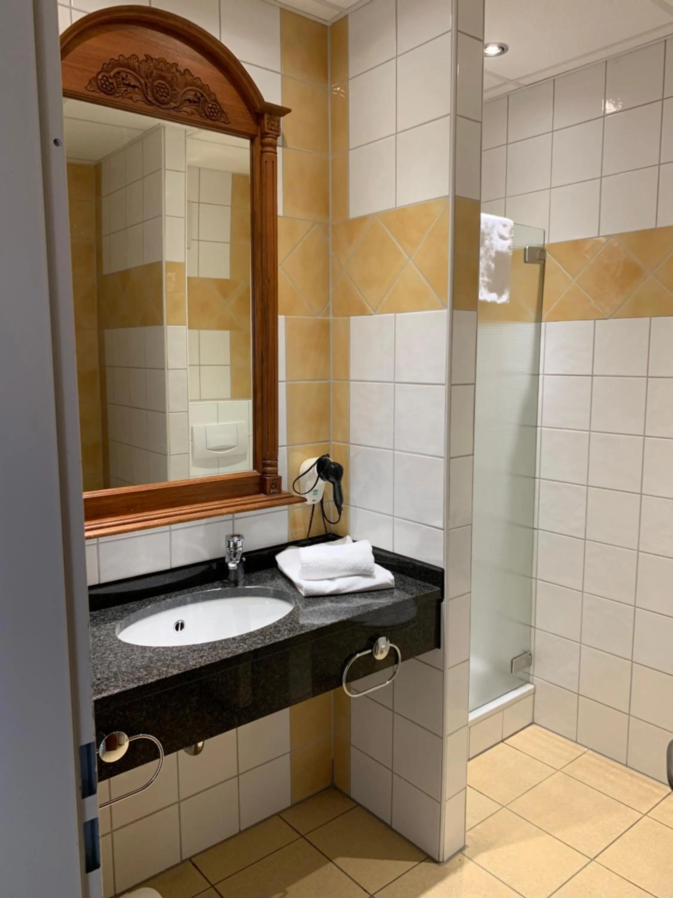 Shower in Hotel Bentheimer Hof