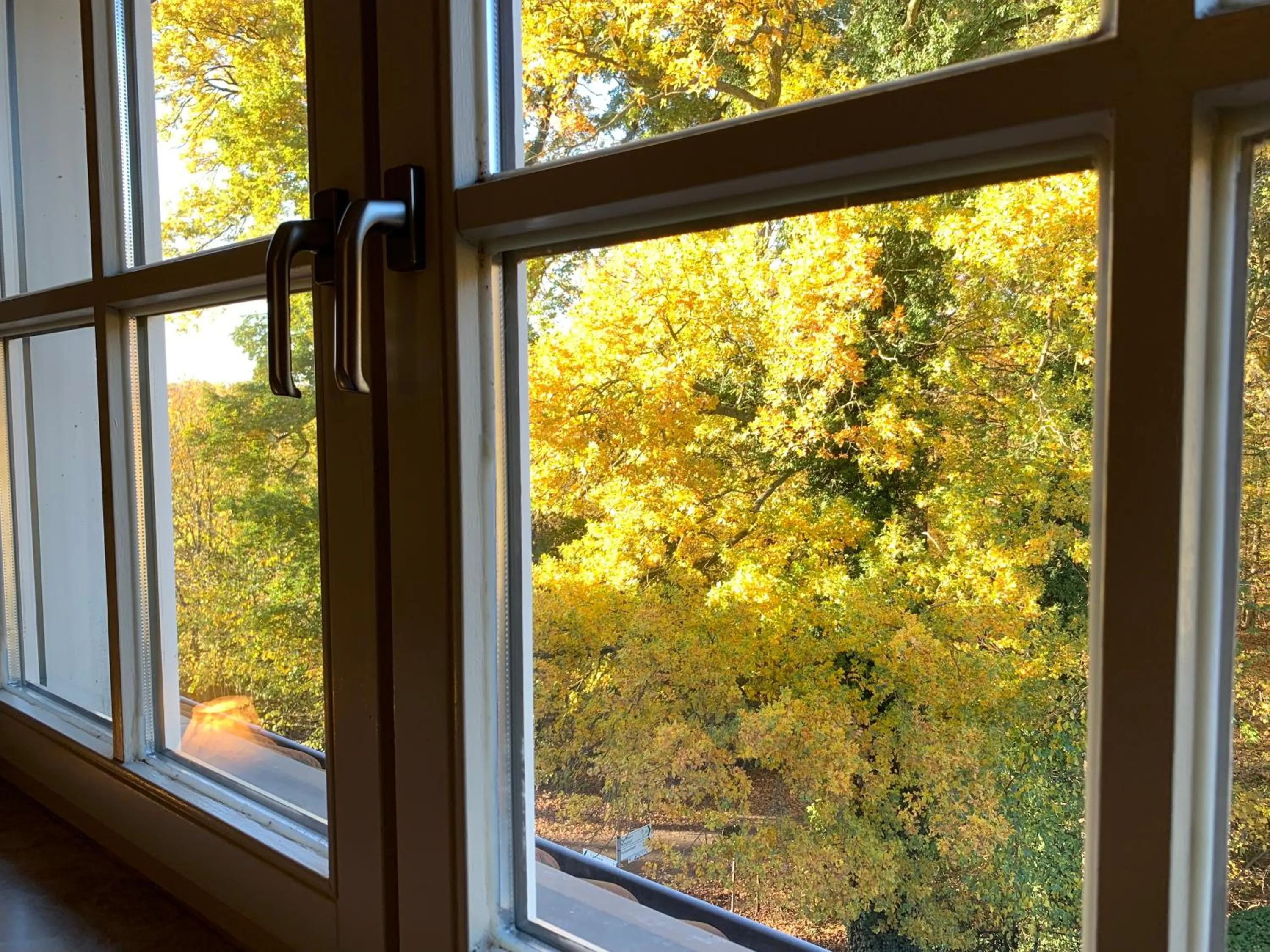 Garden view in Hotel Bentheimer Hof
