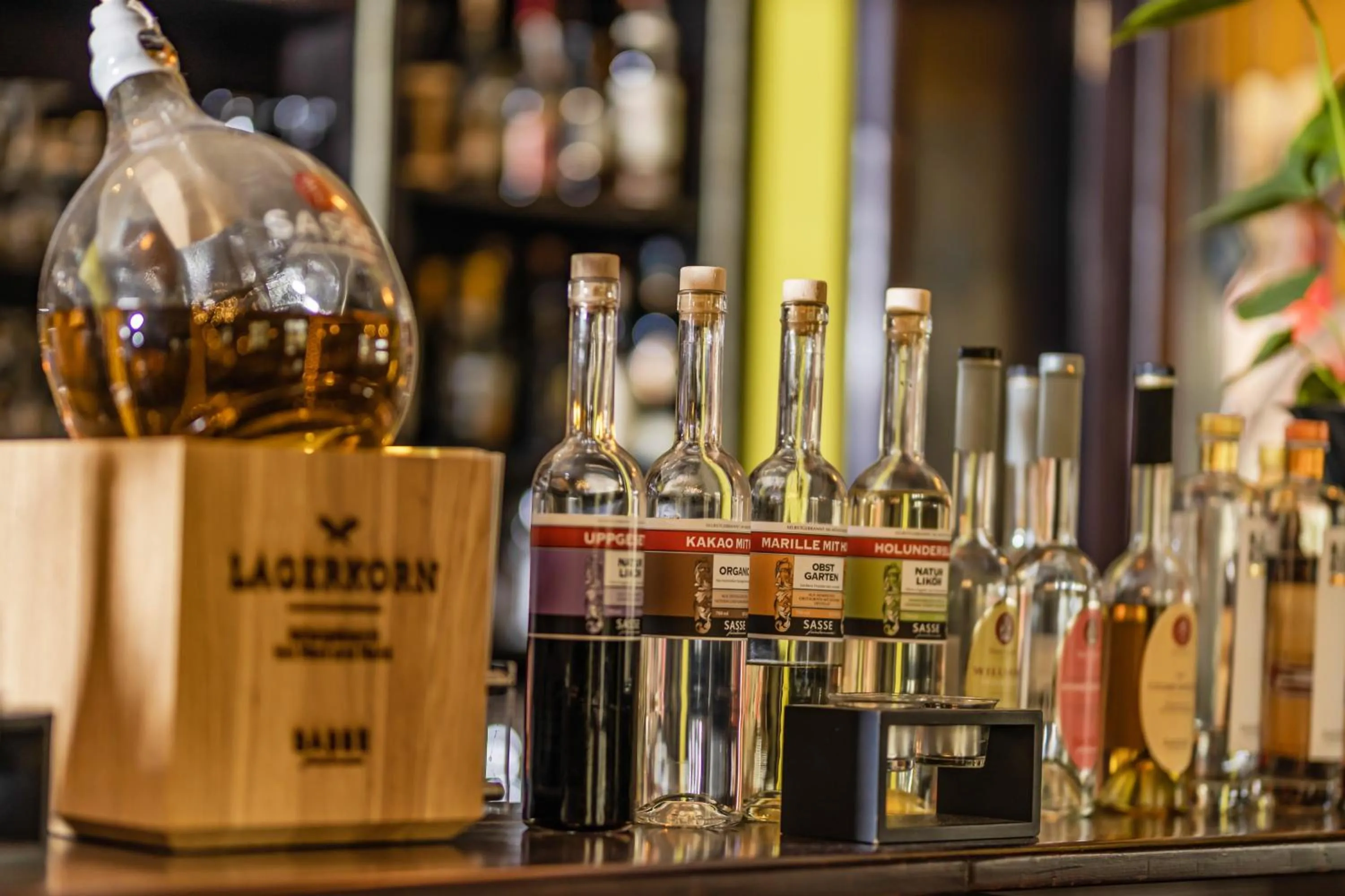 Lounge or bar in Hotel Bentheimer Hof